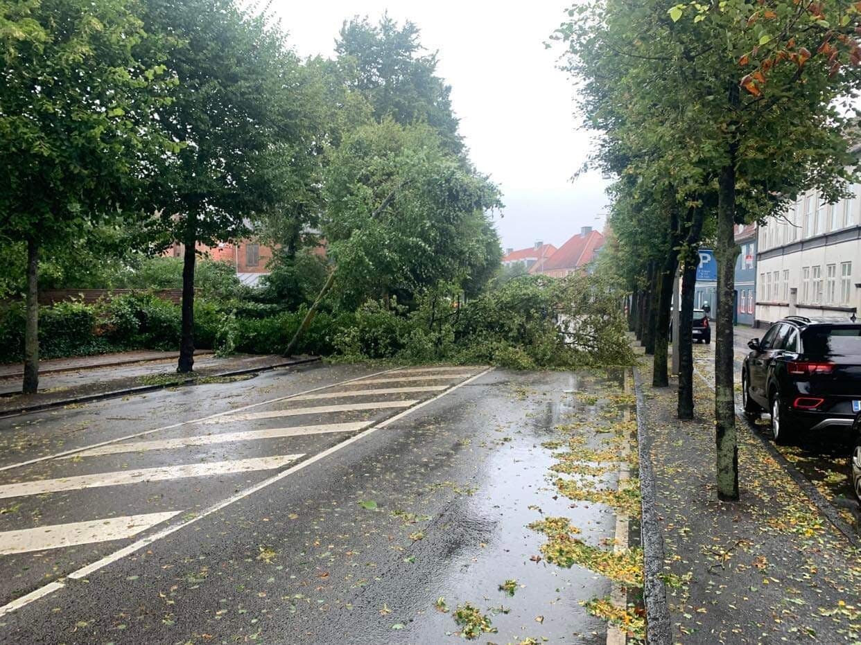 Et træ er mandag morgen væltet ud over vejbanen på IL Tvedesvej i Helsingør. Træet ligger og spærrer vejbanen i begge retninger.