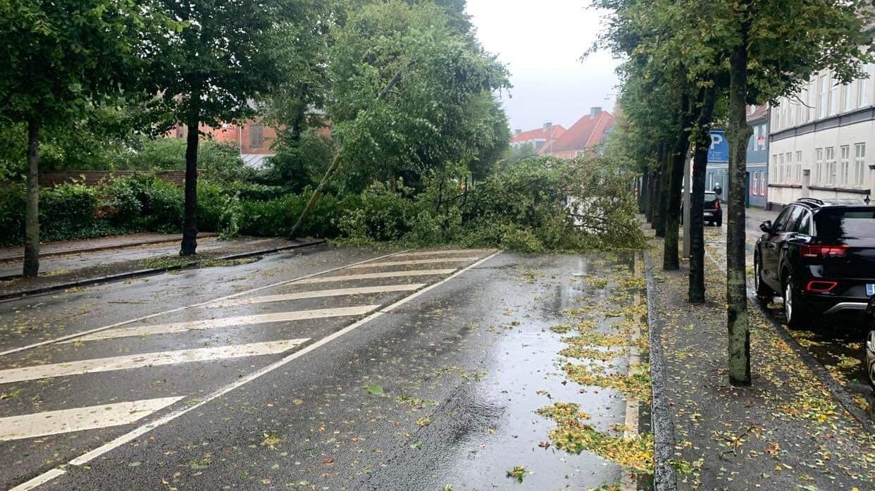 Et træ er mandag morgen væltet ud over vejbanen på IL Tvedesvej i Helsingør. Træet ligger og spærrer vejbanen i begge retninger.