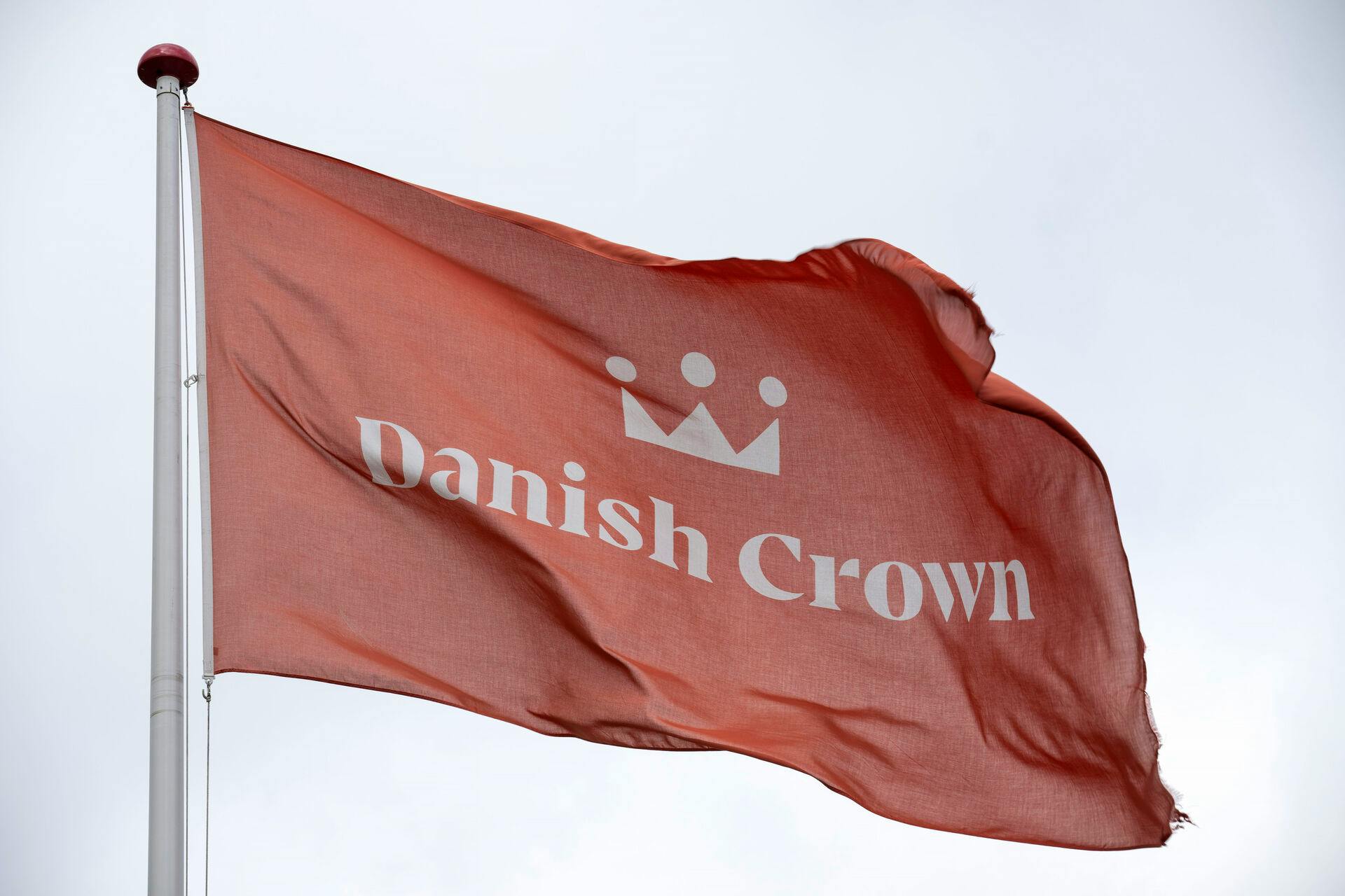 Danish Crown i Horsens mandag den 19. juni 2023.. (Foto: Bo Amstrup/Ritzau Scanpix)