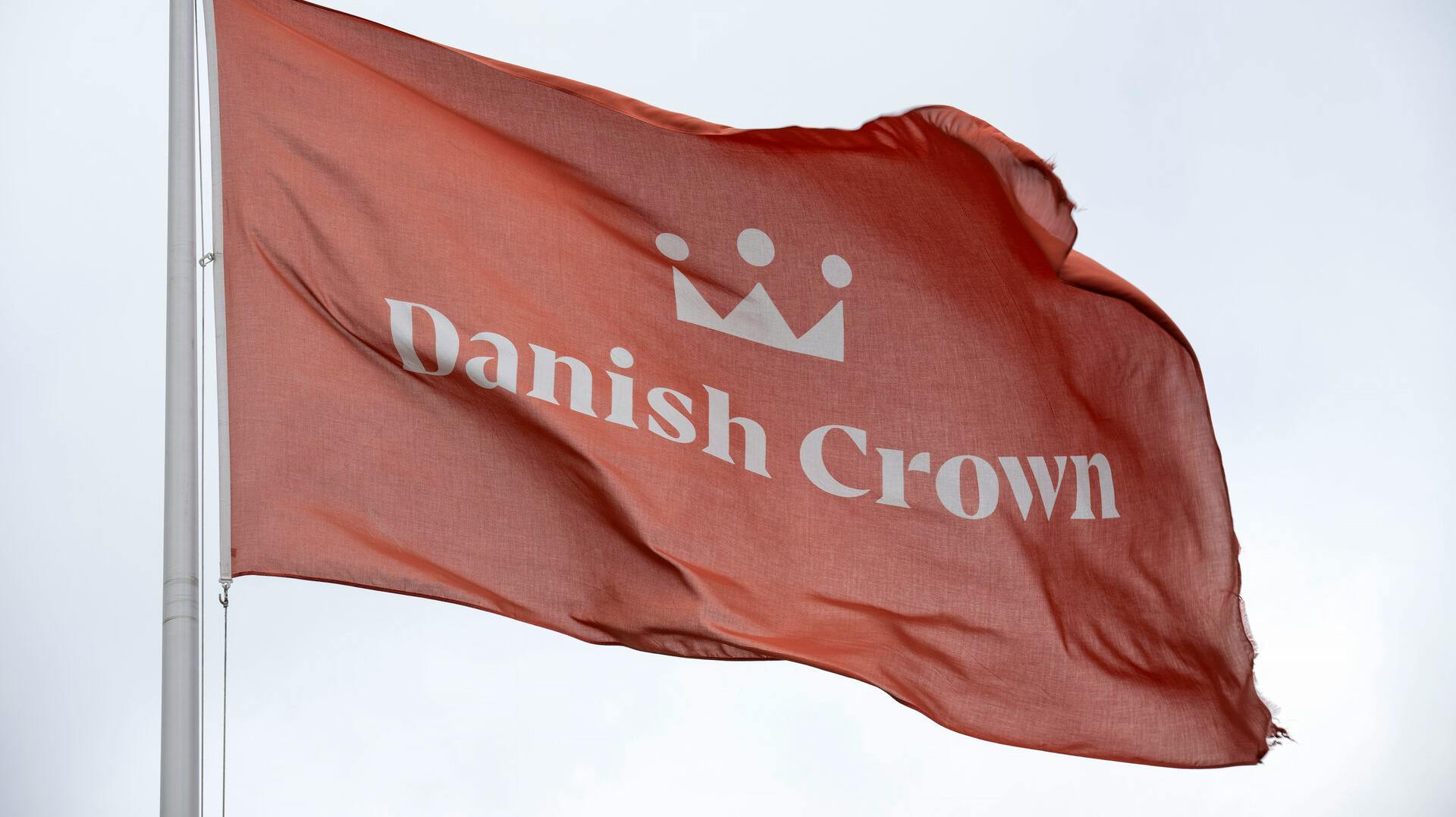 Danish Crown i Horsens mandag den 19. juni 2023.. (Foto: Bo Amstrup/Ritzau Scanpix)