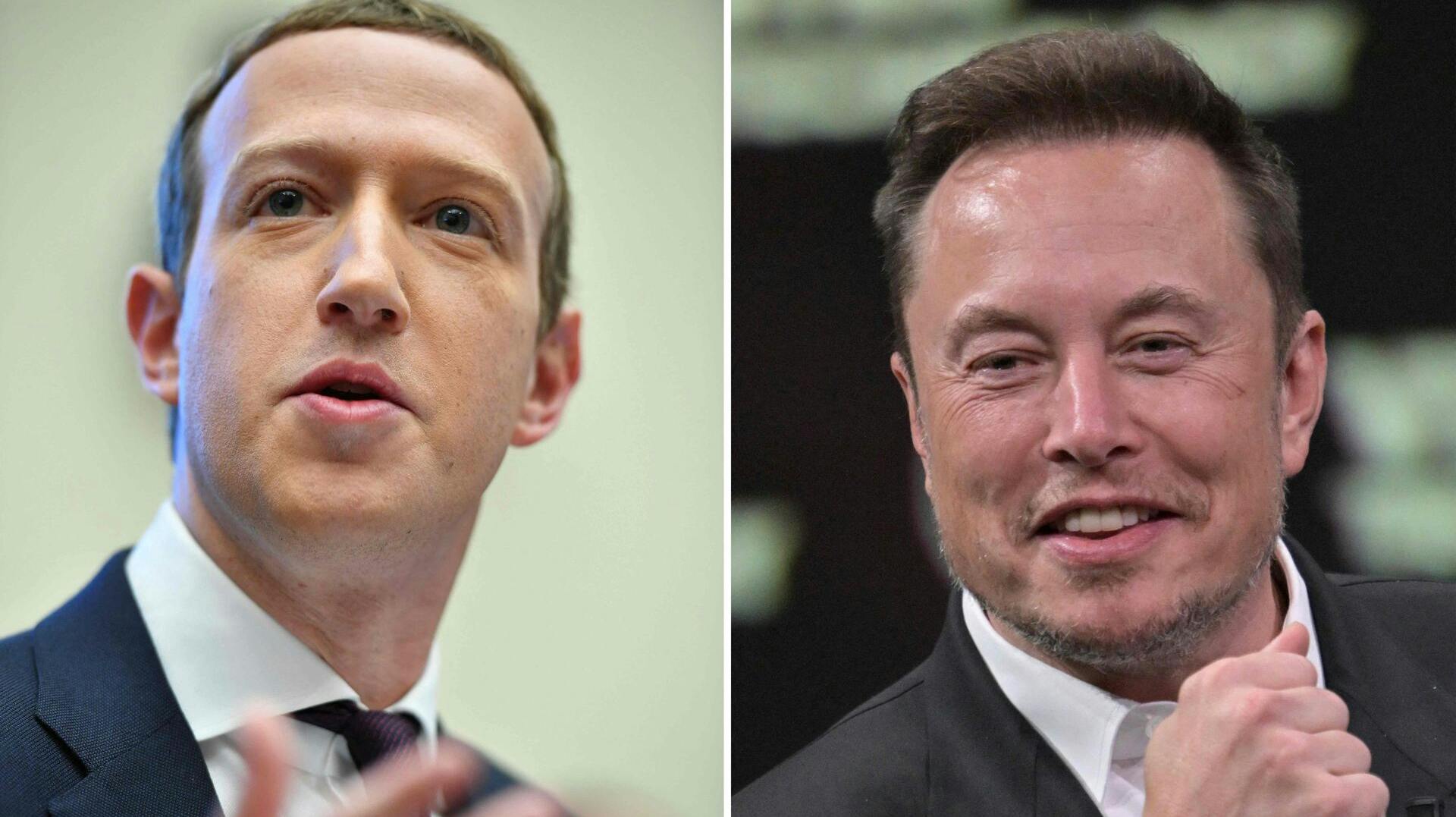 En MMA-kamp mellem de to techmilliardærer er under opsejling.
