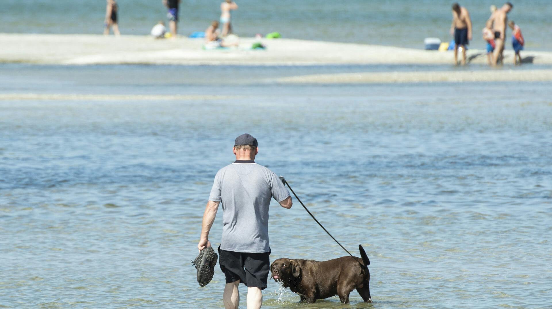 Badegæster ved stranden omkring Øster Hurup på østkysten af Himmerland, mandag 23. juli 2018. Den varme sommer fortsætter og en ny hebølge starter om få dage.. (Foto: Henning Bagger/Ritzau Scanpix)