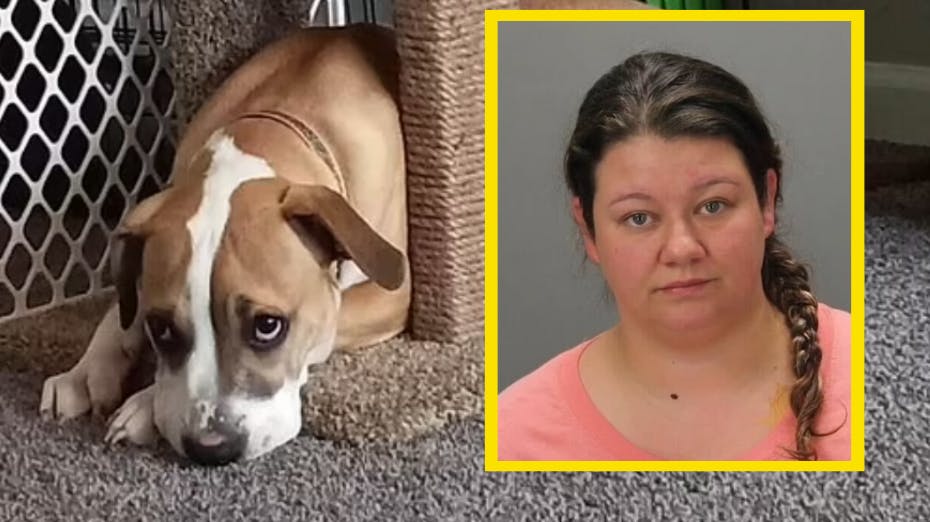 30-årige Brittany McClure er anholdt og sigtet for at have udøvet sexovergreb mod parrets fælles hund, Max.