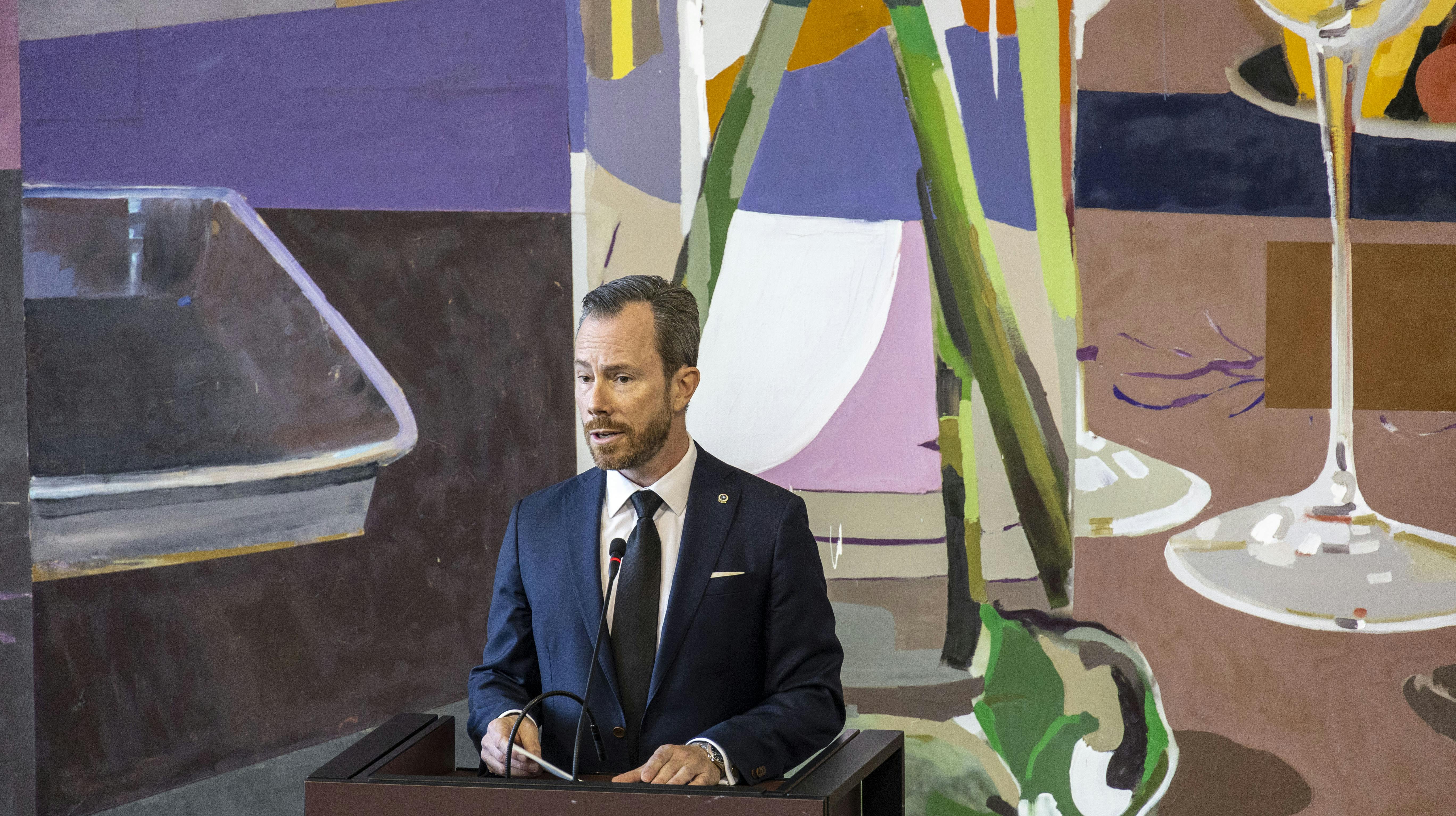 Danmarks forsvarsminister er tilbage på talerbænkede efter en langtidssygemelding. Nu sætter han ord på sin stress. 