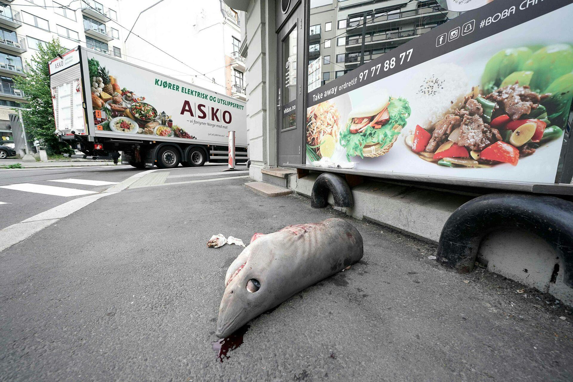 A shark's head lays on the street outside the sushi restaurant in Oslo, Norway on August 17, 2023, where it was dropped by accident after it was sold from a grocery store in the area according to local reports. (Photo by Stian Lysberg Solum / NTB / AFP) / Norway OUT