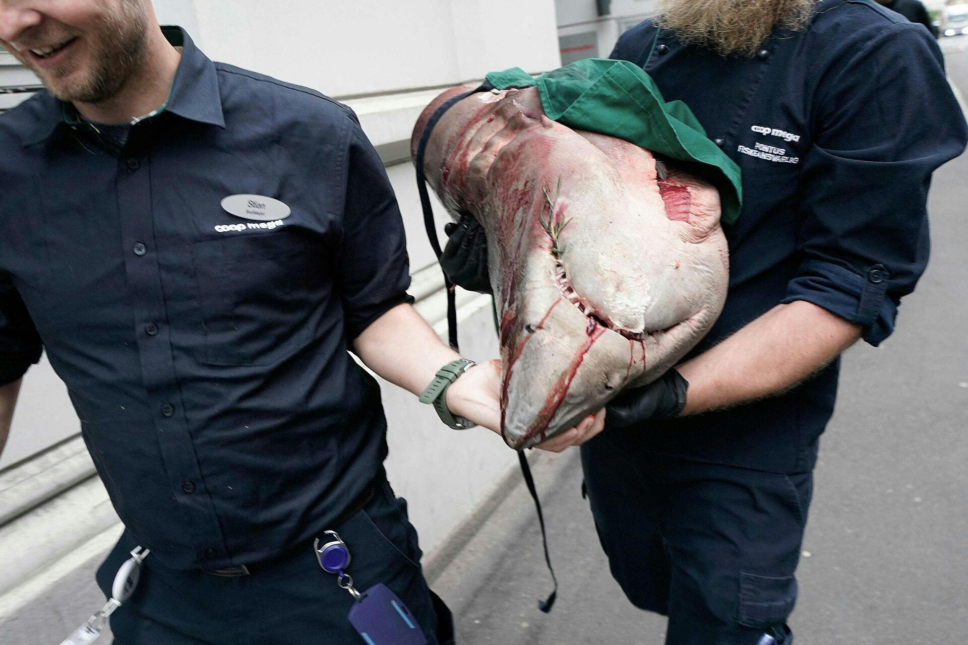 Staff members of the Coop Mega grocery store carry a shark's head which was found on the street outside the sushi restaurant in Oslo, Norway on August 17, 2023, where it was dropped by accident after it was sold from a grocery store in the area according to local reports. (Photo by Stian Lysberg Solum / NTB / AFP) / Norway OUT