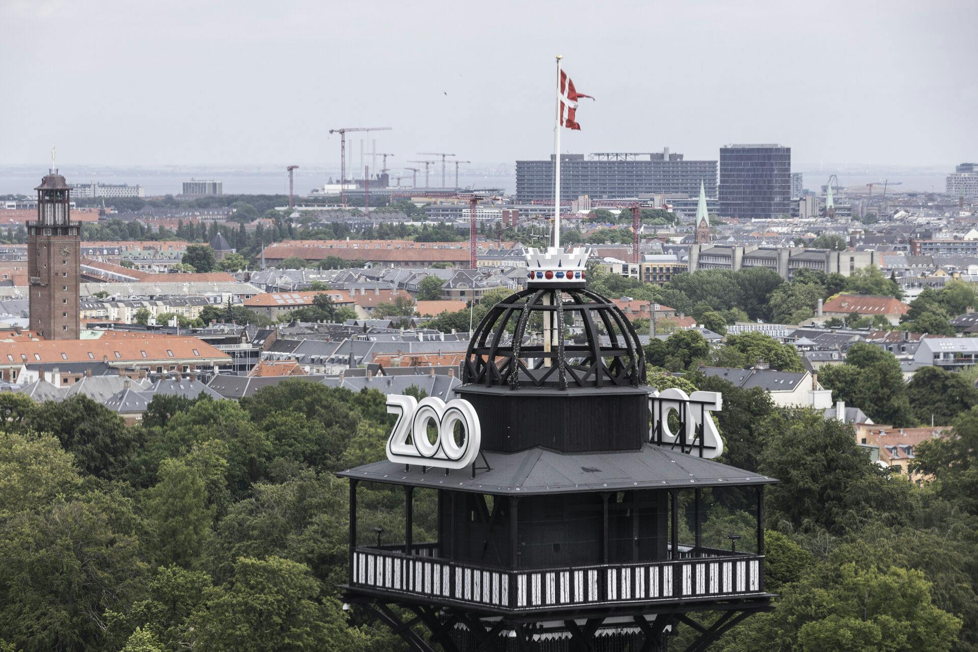 Byrådsmedlemmerne i Frederiksberg Kommune må ikke længere modtage gratis kort til Zoologisk Have.