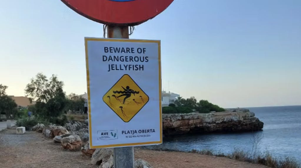 Det er skilte som disse, der lige nu florerer rundt omkring på Mallorca.