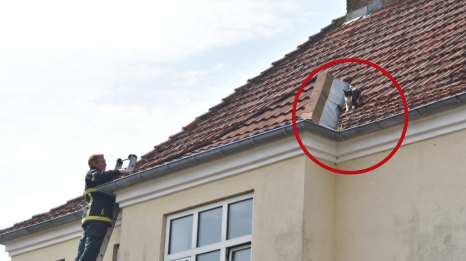 En kat tilbragte tre dage på et tag, før en brandmand lørdag hjalp den ned. 