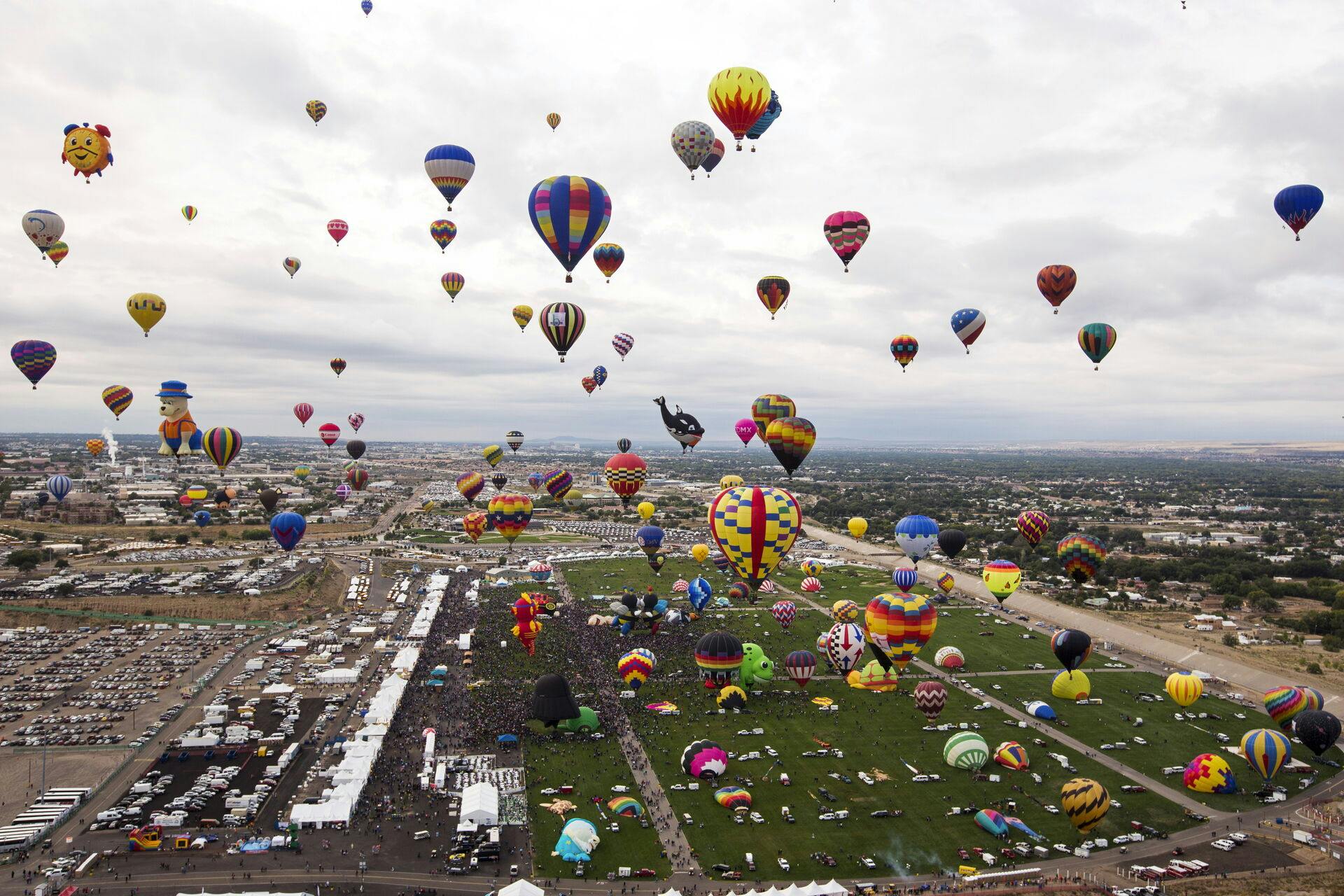 Hundreds of hot air balloons take off during the 2015 Albuquerque International Balloon Fiesta in Albuquerque, New Mexico, October 4, 2015. REUTERS/Lucas Jackson TPX IMAGES OF THE DAY