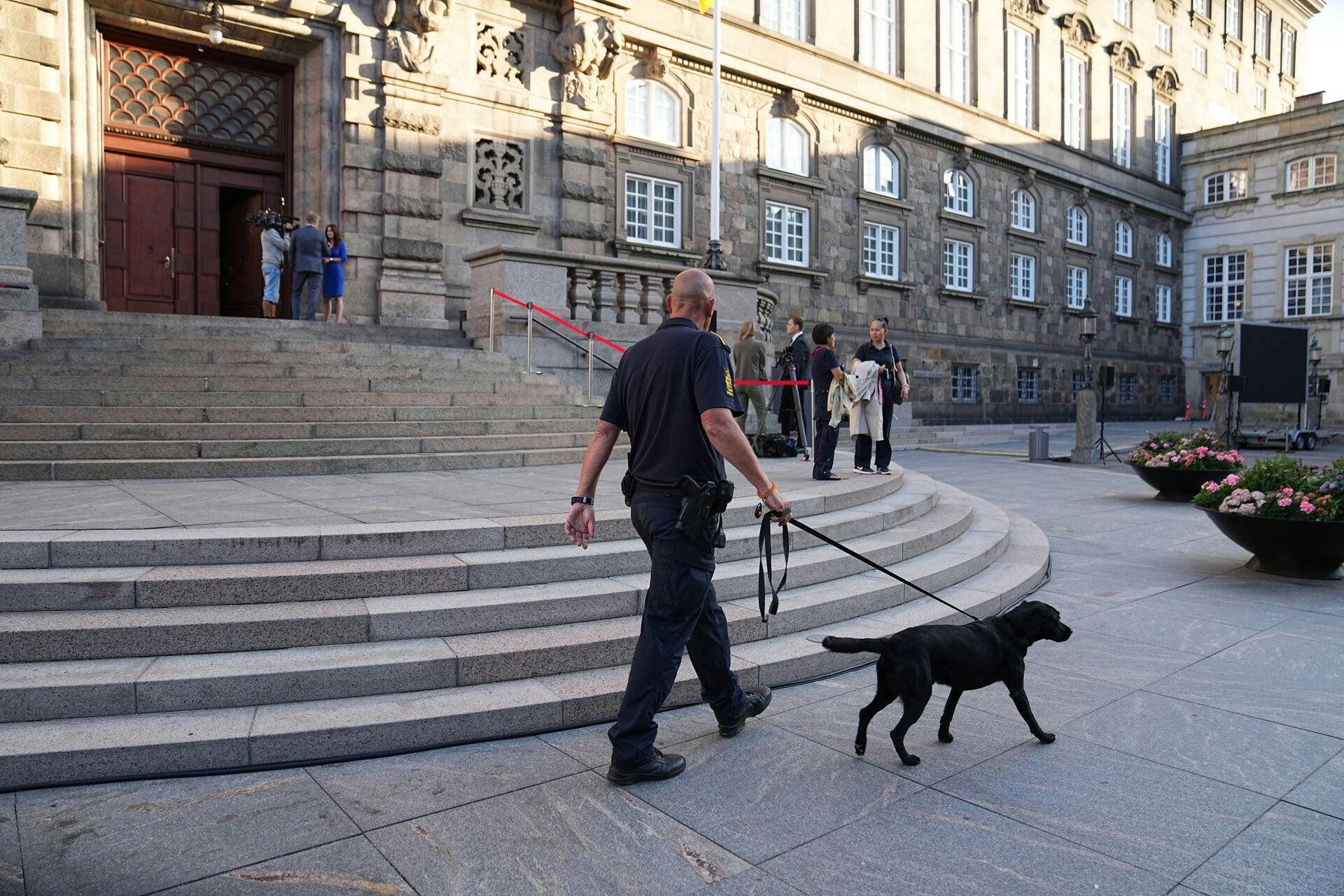 Bombehundene er i aktion tidligt mandag ved den store trappe foran Folketinget. Her holder den ukrainske præsident senere i dag tale for de danskere, som møder op - og som vel at mærke når at få en plads.