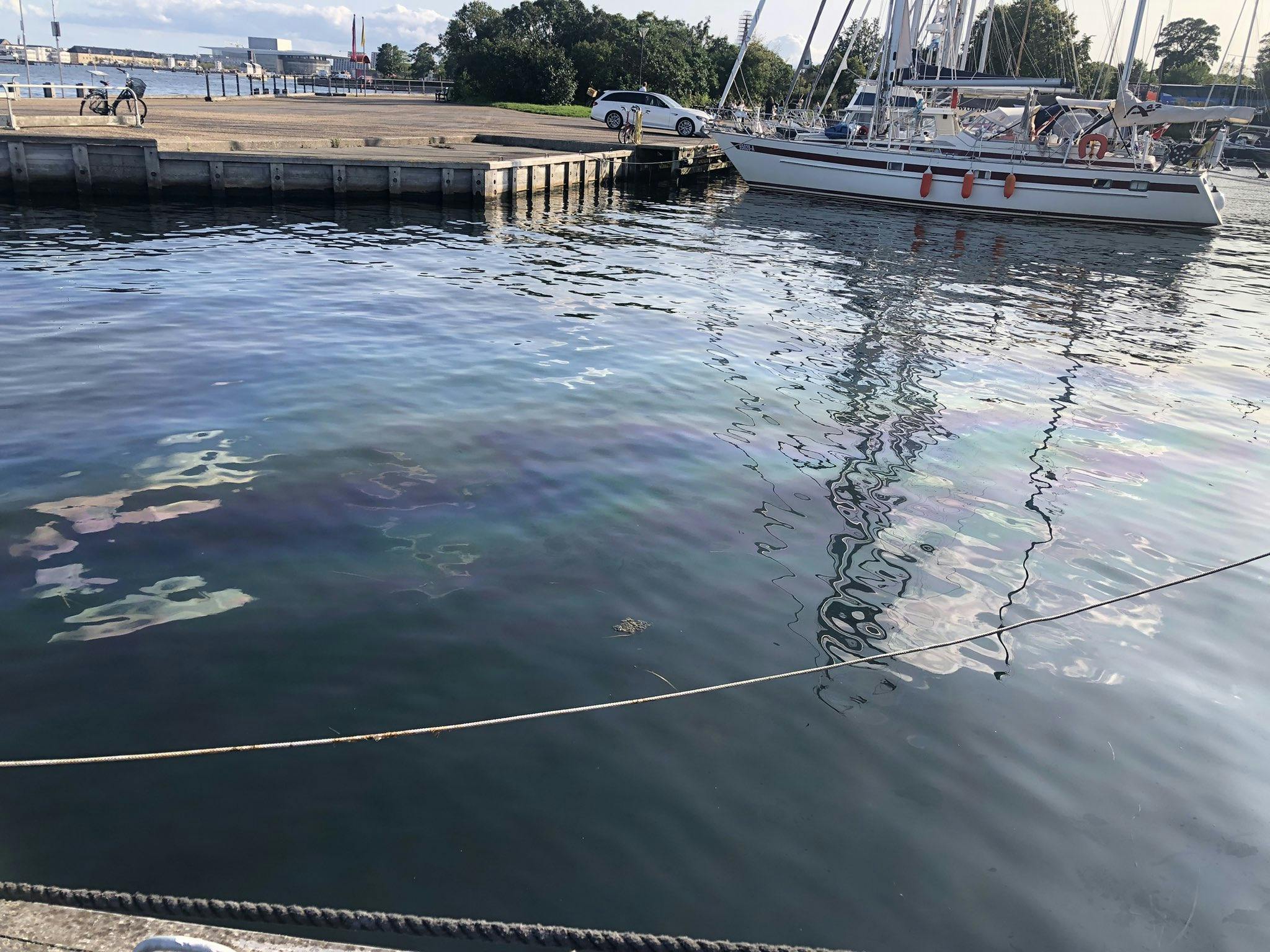 Der er i øjeblikket oliefilm på vandet i Langeliniehavnen på Østerbro.&nbsp;