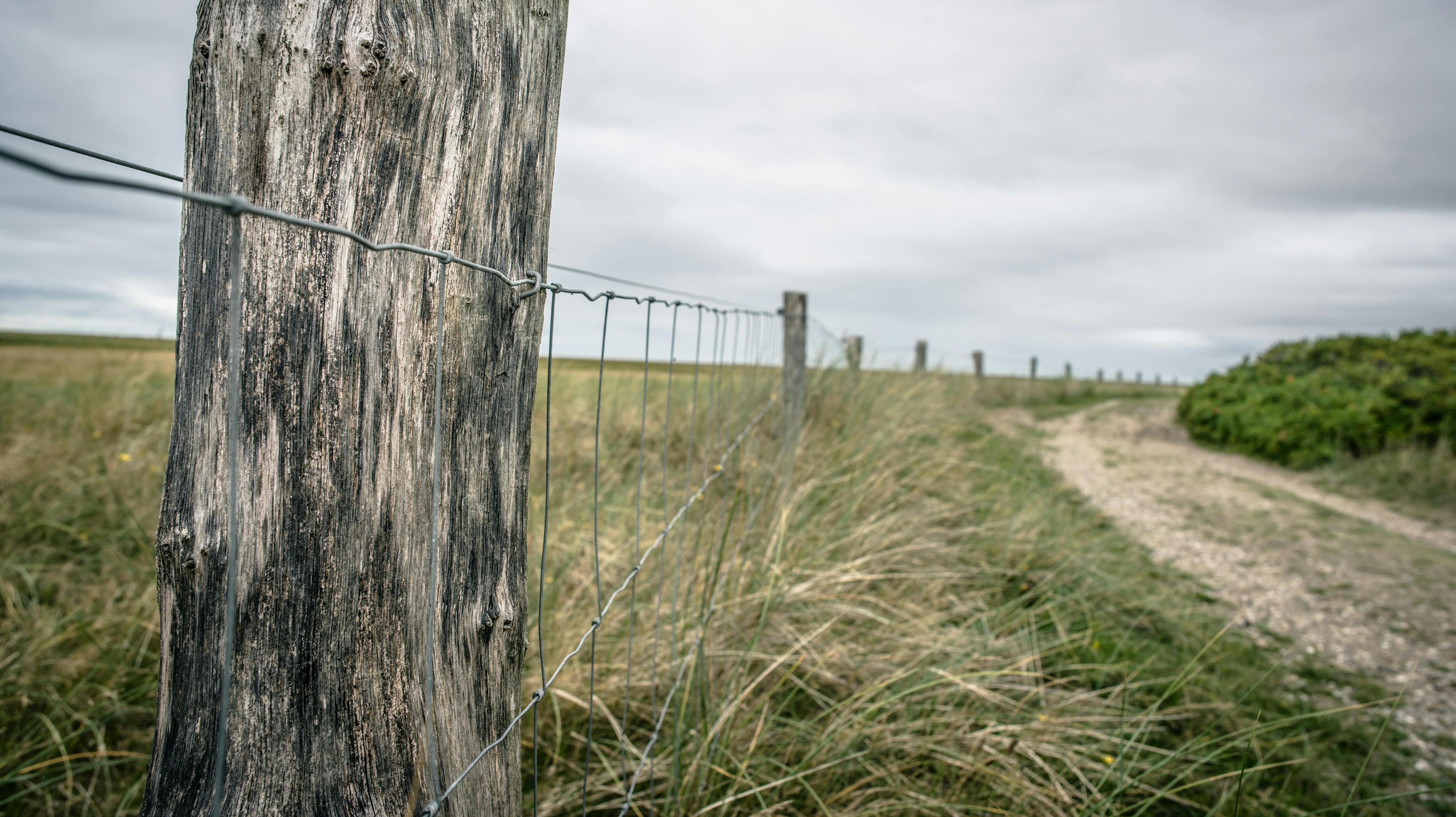 Naturen er ikke for alle. Slet ikke hvis den er privat. For modsat i Sverige har vi herhjemme ikke allemandsret.