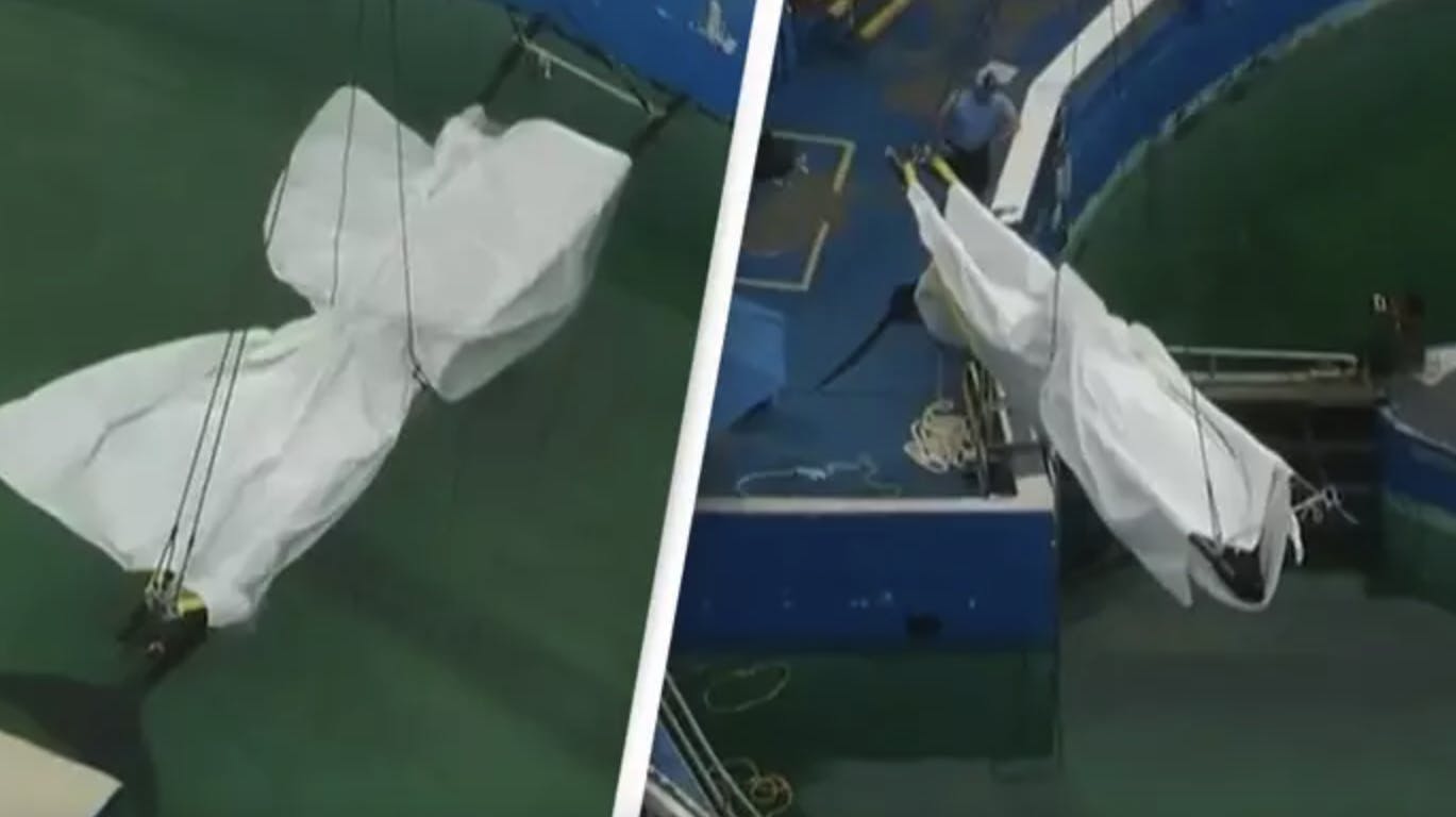 Her bæres liget af Lolita væk. Spækhuggeren døde fredag efter 50 år i fangenskab.