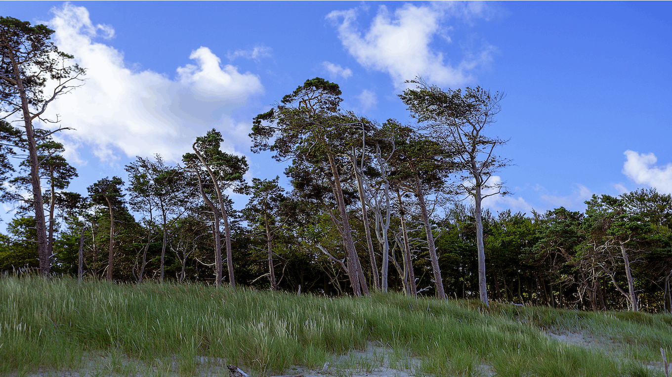 Politiet er tilstede på en strand i Oksbøl efter fund af knogler 