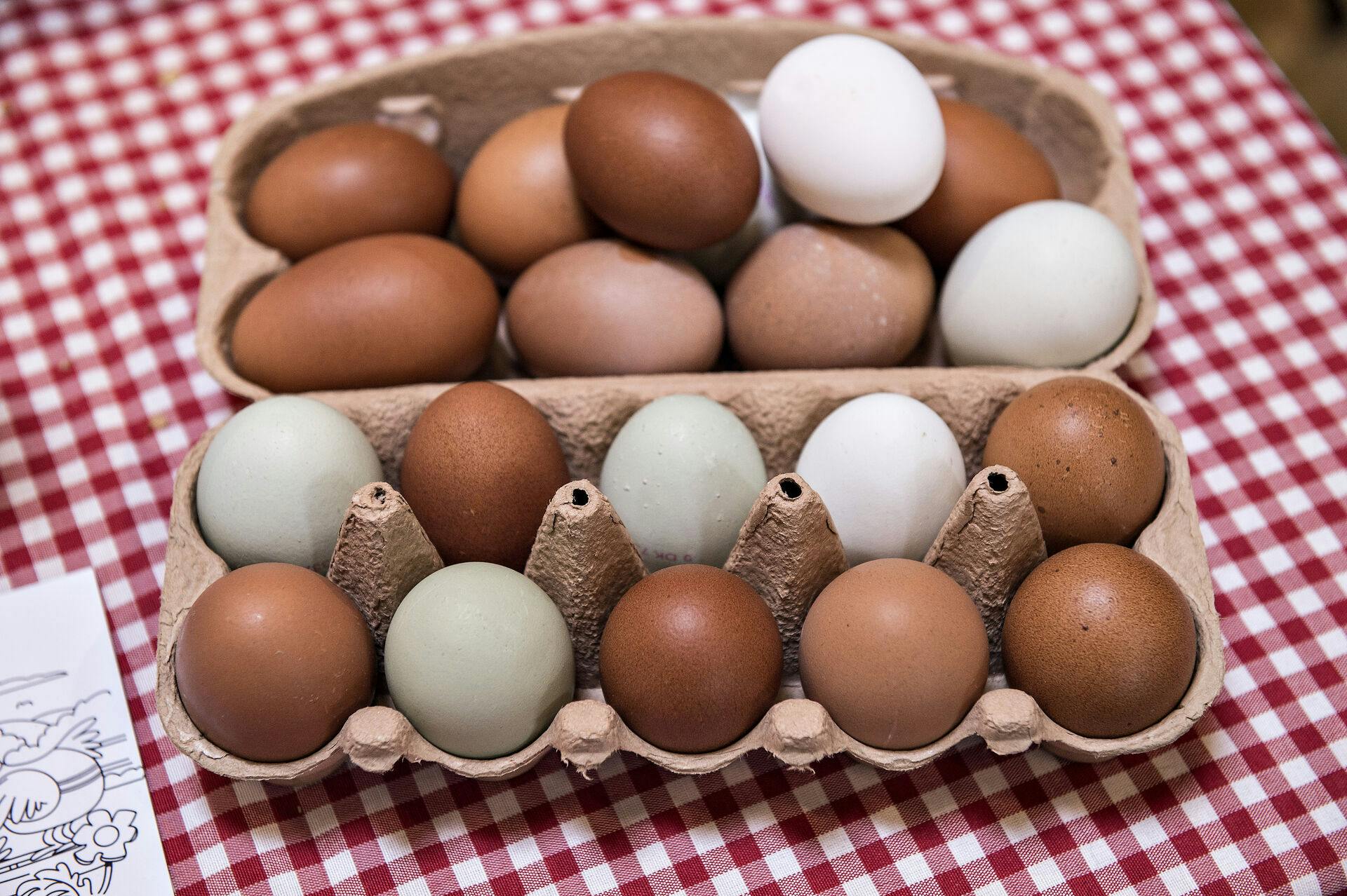 Økologiske æg – fødevaremessen Foodexpo i MCH Messecenter Herning, tirsdag den 20. marts 2018.