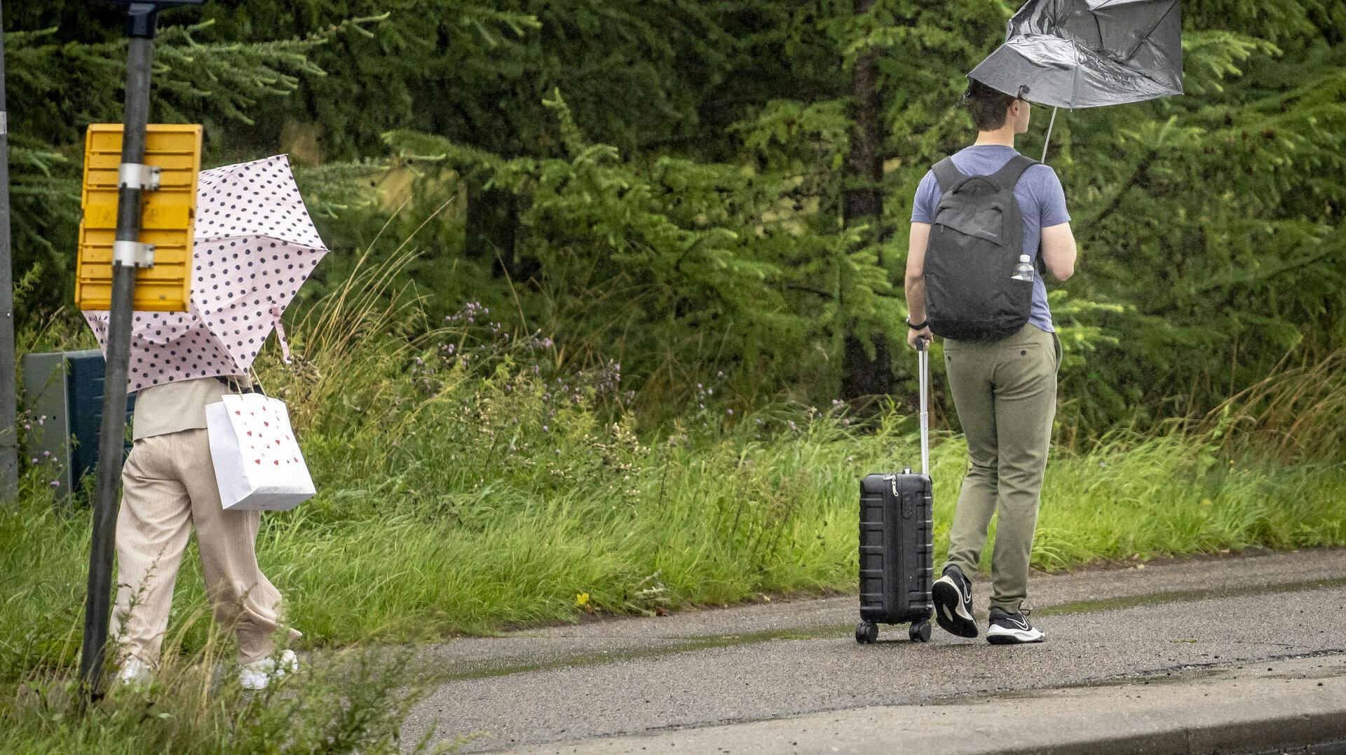 Det er nok en god idé at huske paraplyen på søndag, hvis du skal ud.