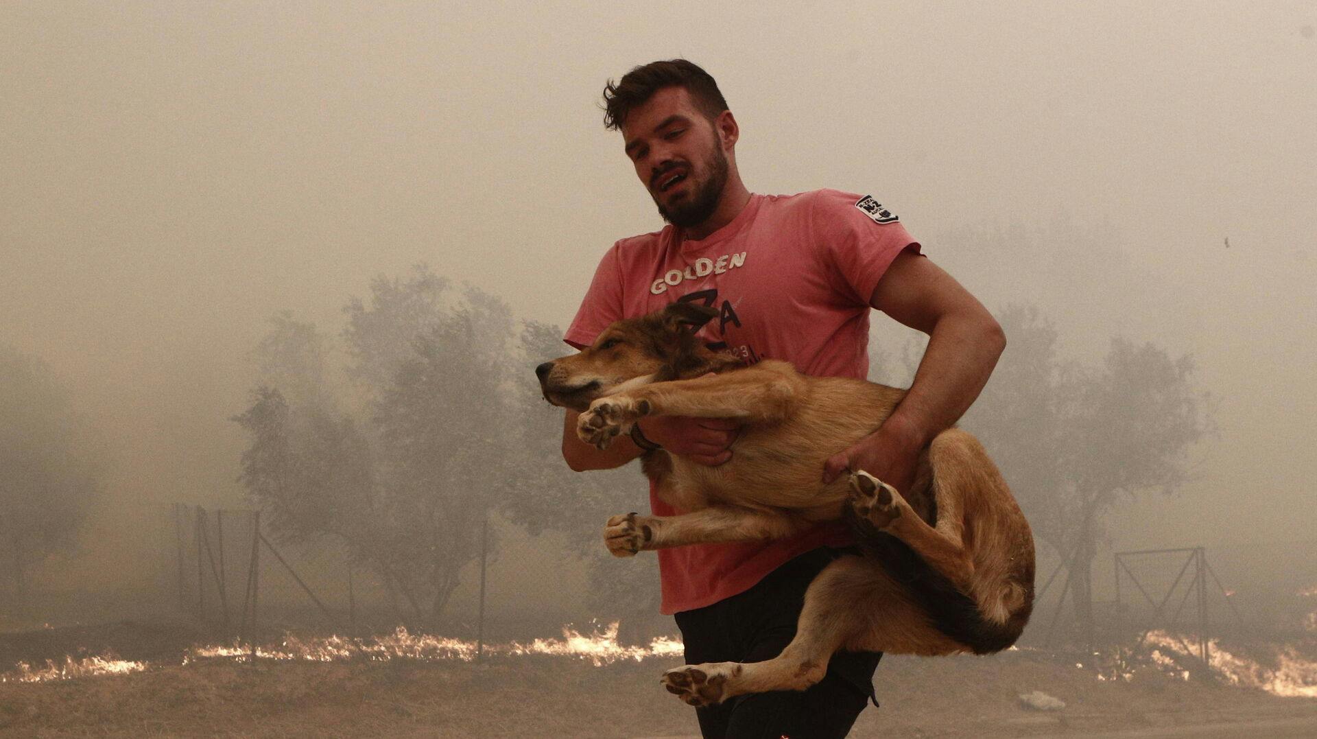 Her bliver en hund reddet.