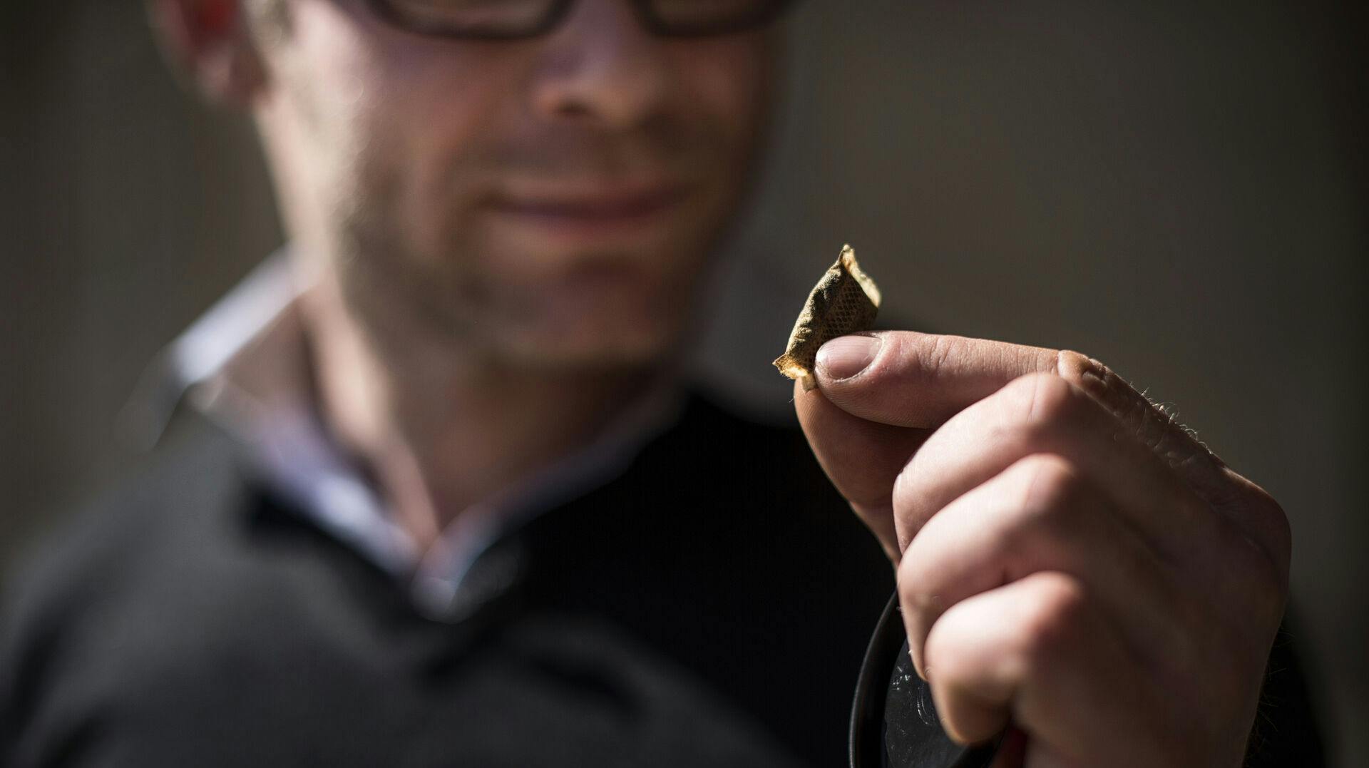 Læger og forskere advarer mod brugen af snus.