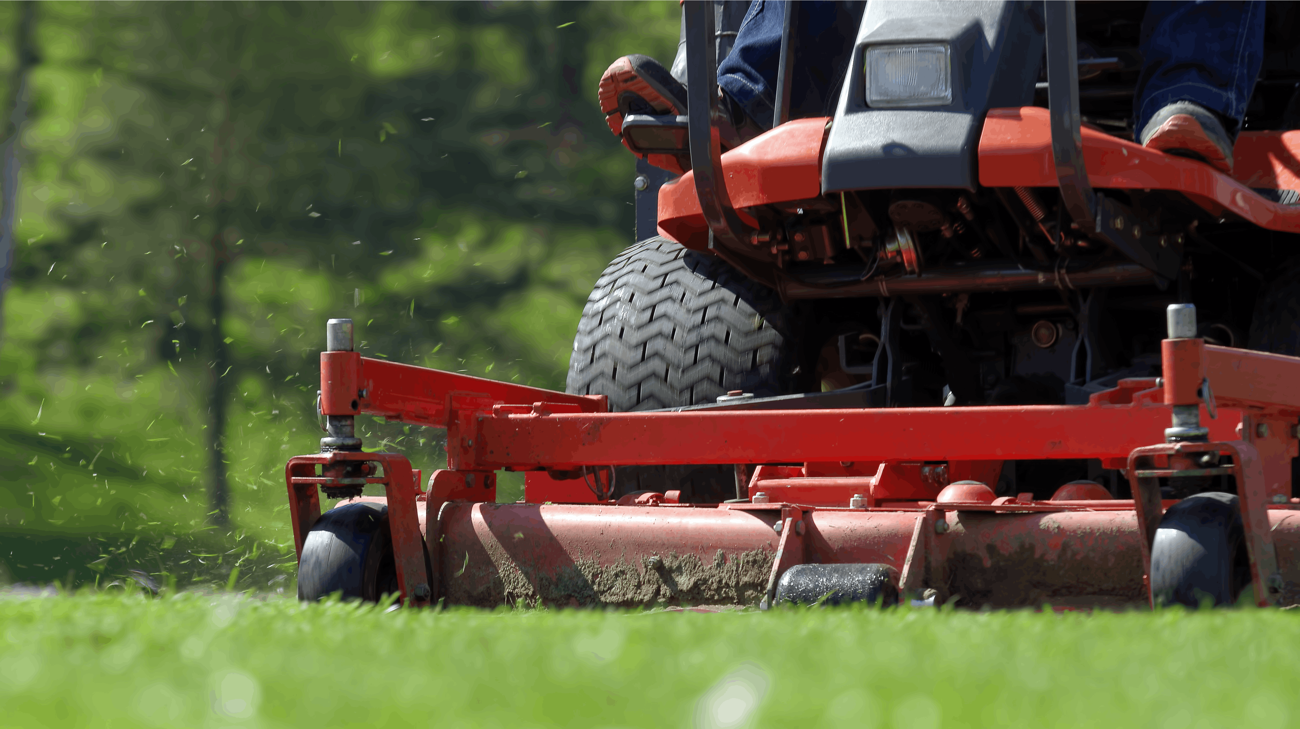 En havetraktor har smadret 25 træer i Kolding. Nu skal det vurderes, hvor mange af træerne, der kan reddes.