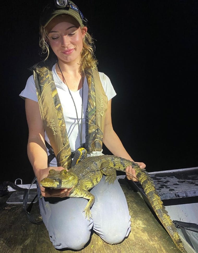 https://imgix.seoghoer.dk/2023-09-07/alligator.png