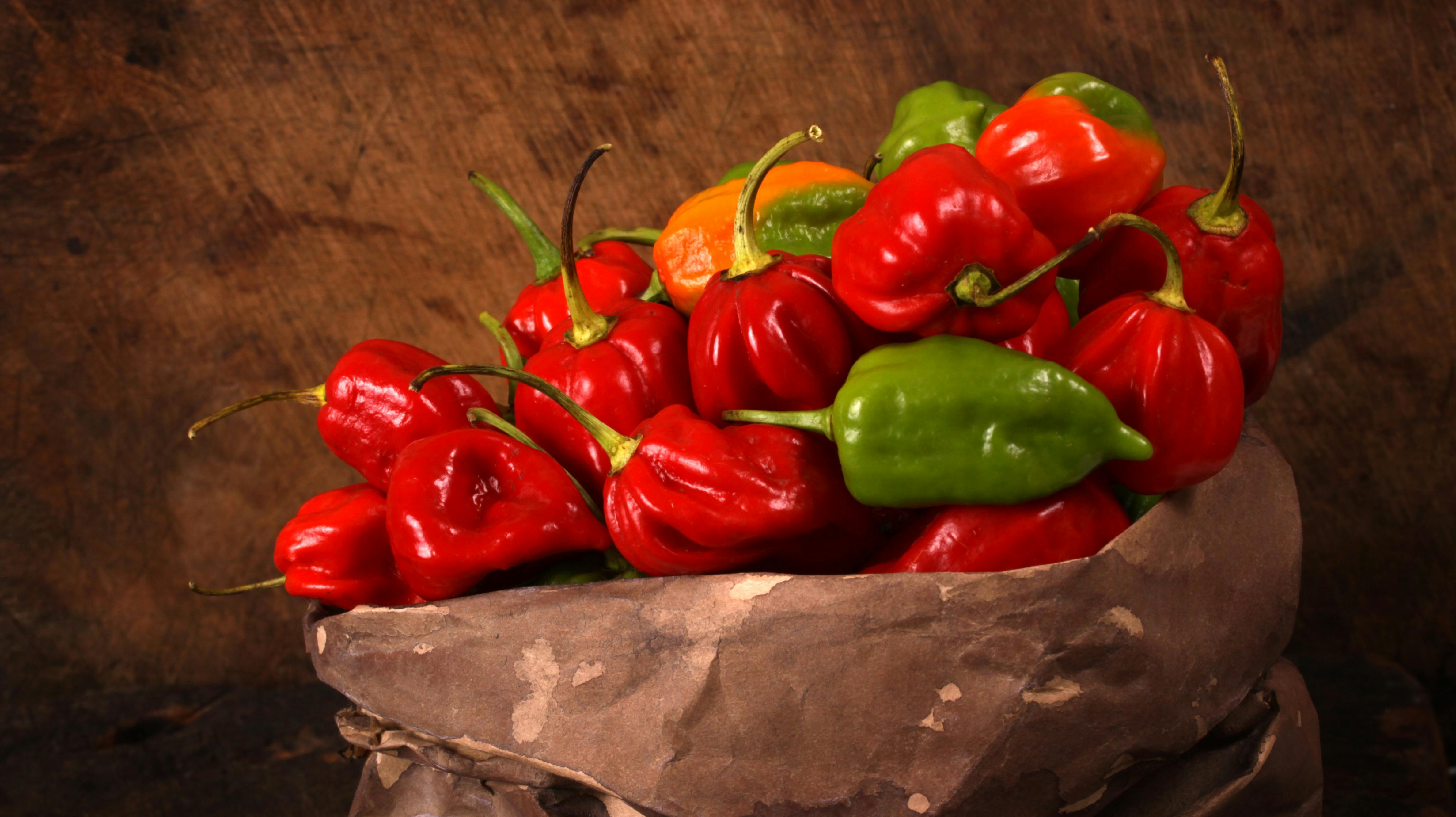 Close up of red and green Chili