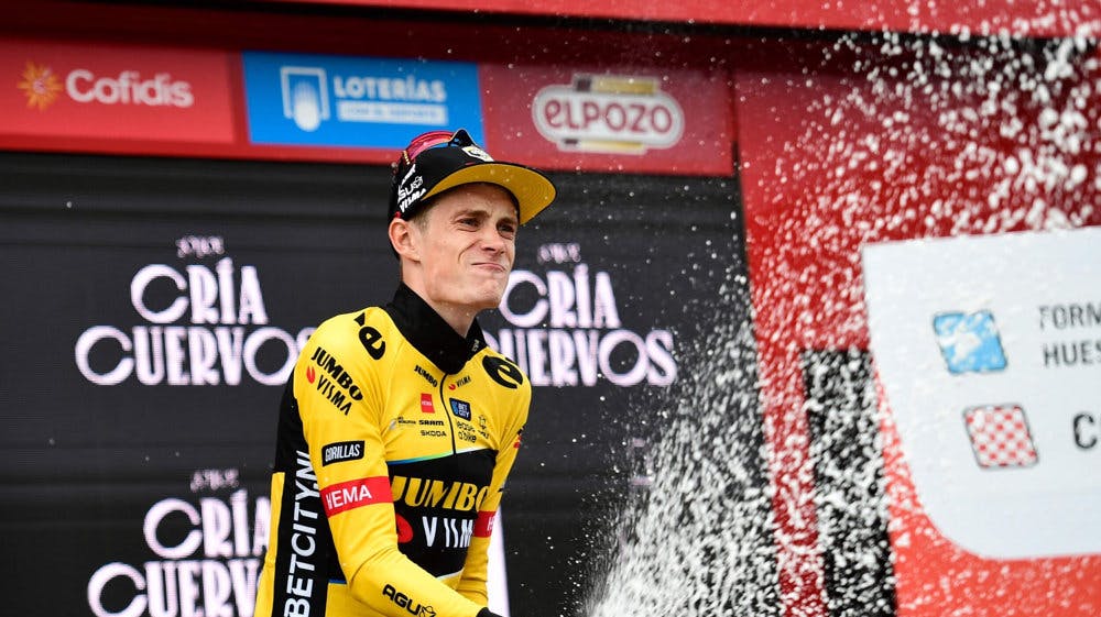 Jonas Vingegaard er nu nummer tre i klassementet. Han fører også bjergkonkurrencen efter sin sejr på Tourmalet.