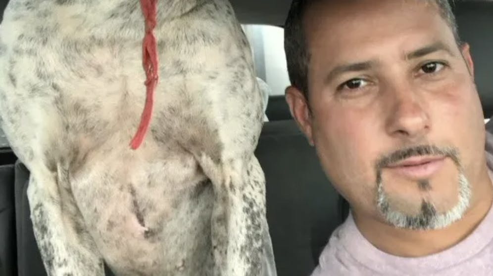Noel Vigil-Benitez og hans to venner mistede onsdag livet i forsøget på at redde en hund