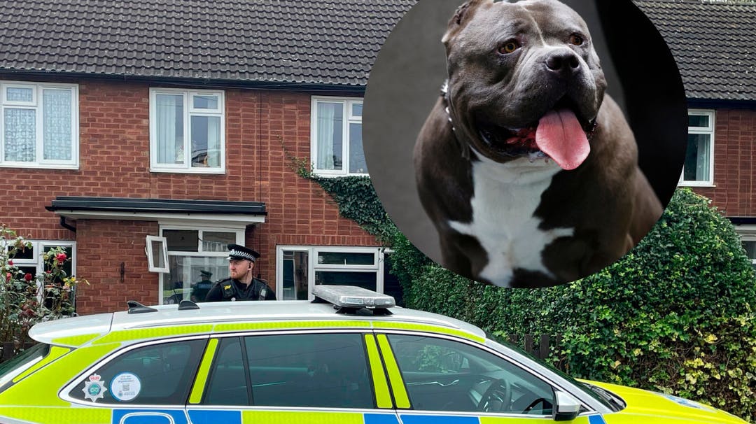 Politiet blev torsdag kaldt ud til en adresse, hvor en mand var blevet angrebet af to hunde. Fredag afgik manden ved døden.