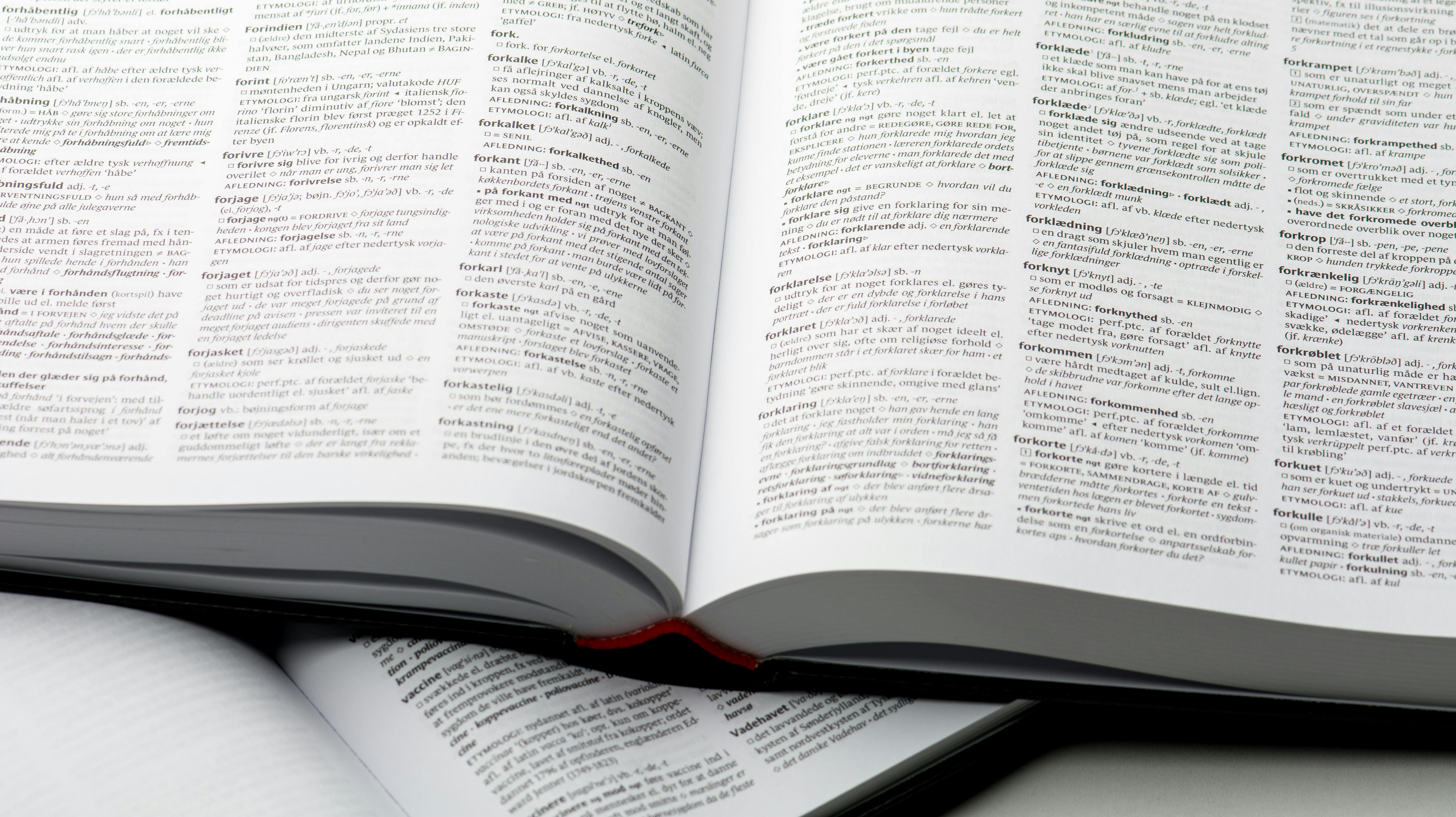 Retskrivningsordbogen skal opdateres.