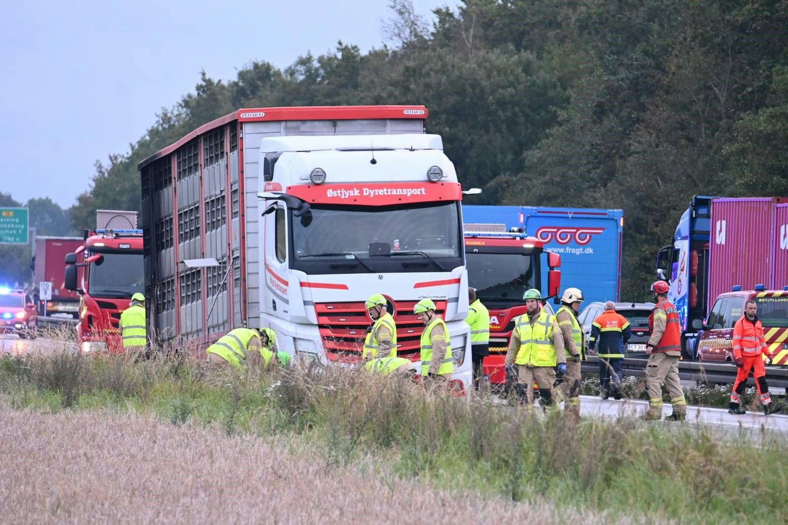 Et færdselsuheld med en dyretransport i brand på E45 har spærret motorvejen ved Aarhus.