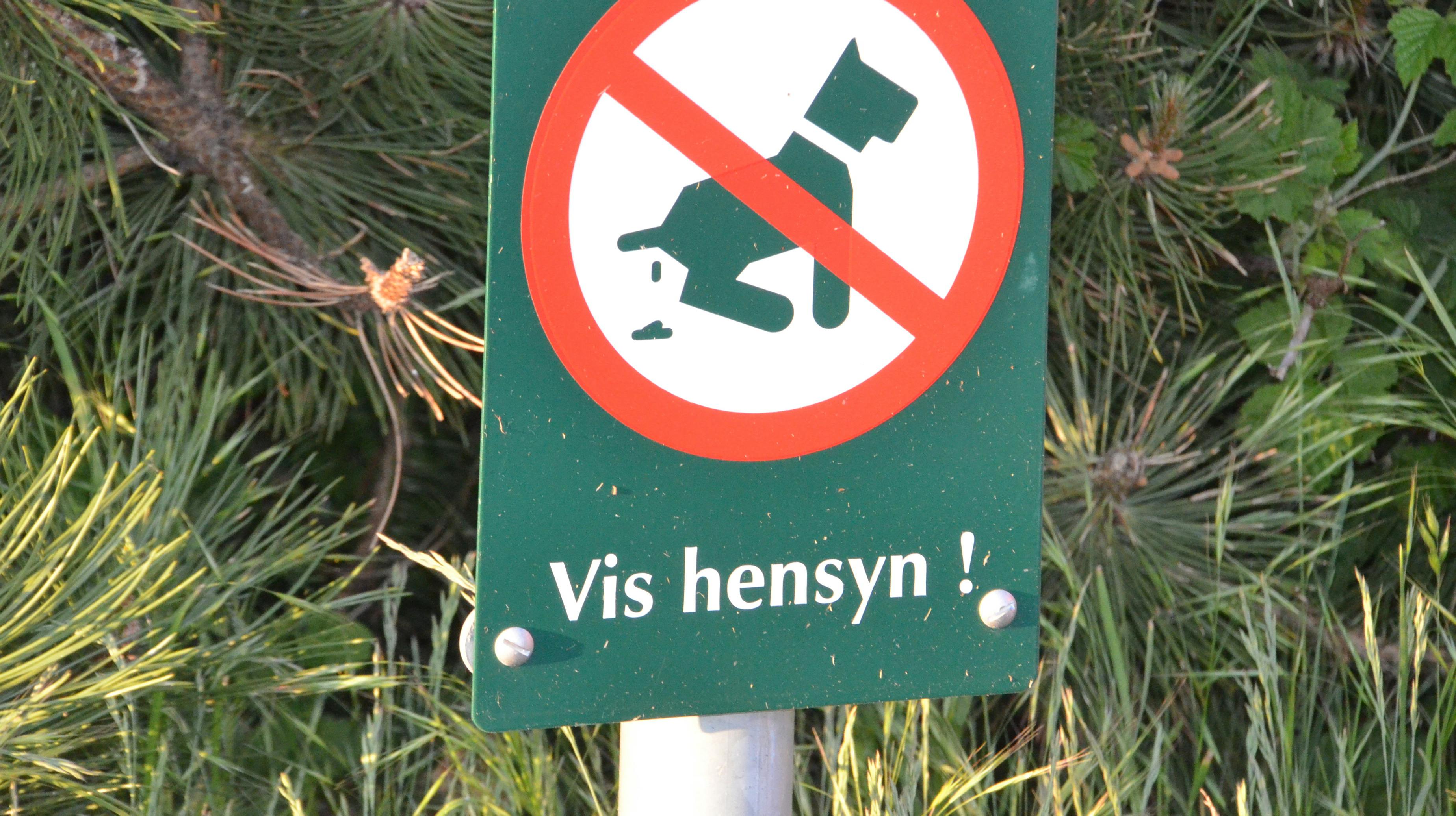 Politiet ønsker at komme i kontakt med en ukendt mand, der luftede hund i Roskilde mandag. 