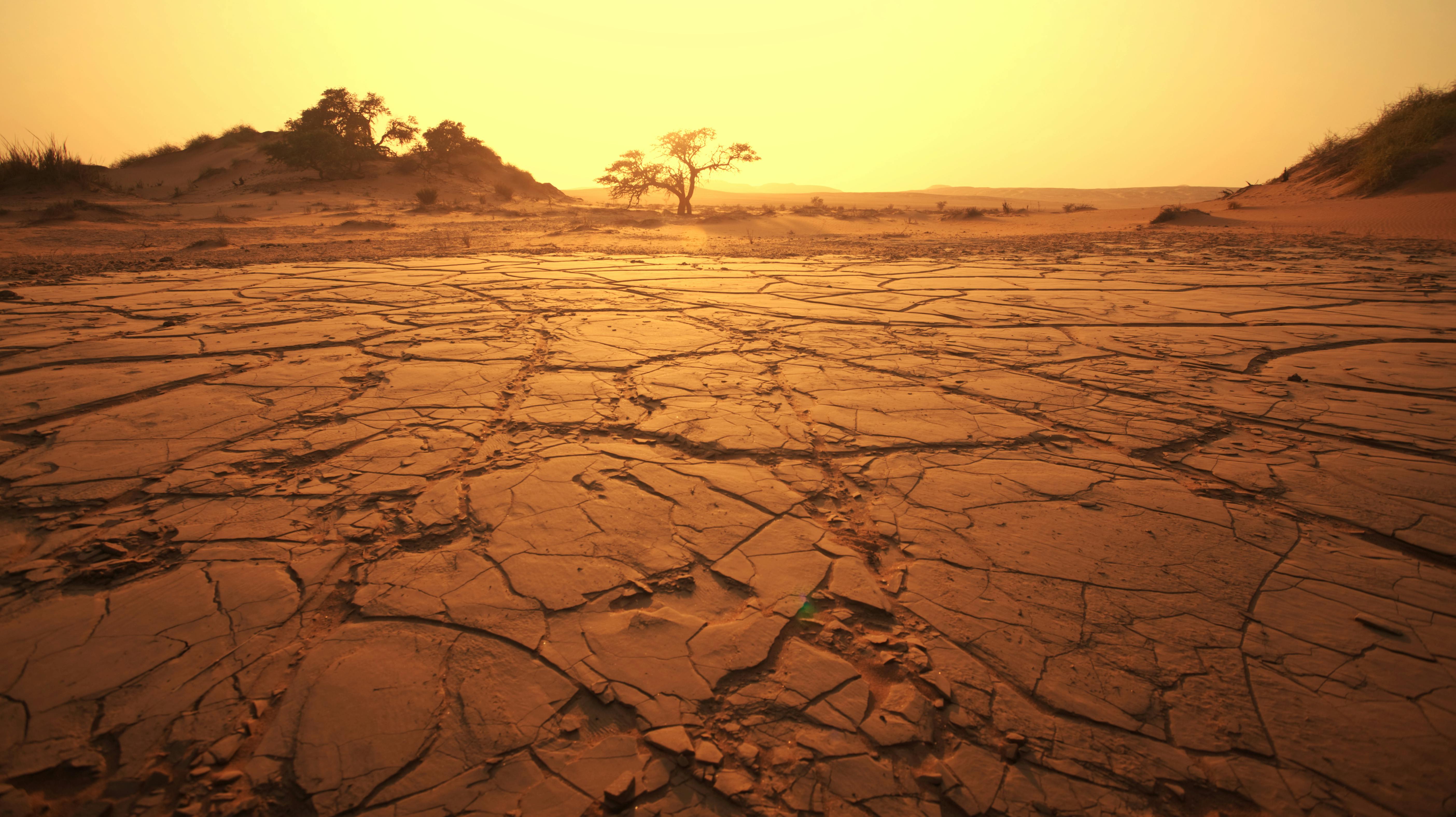 Dead valley in Namibia