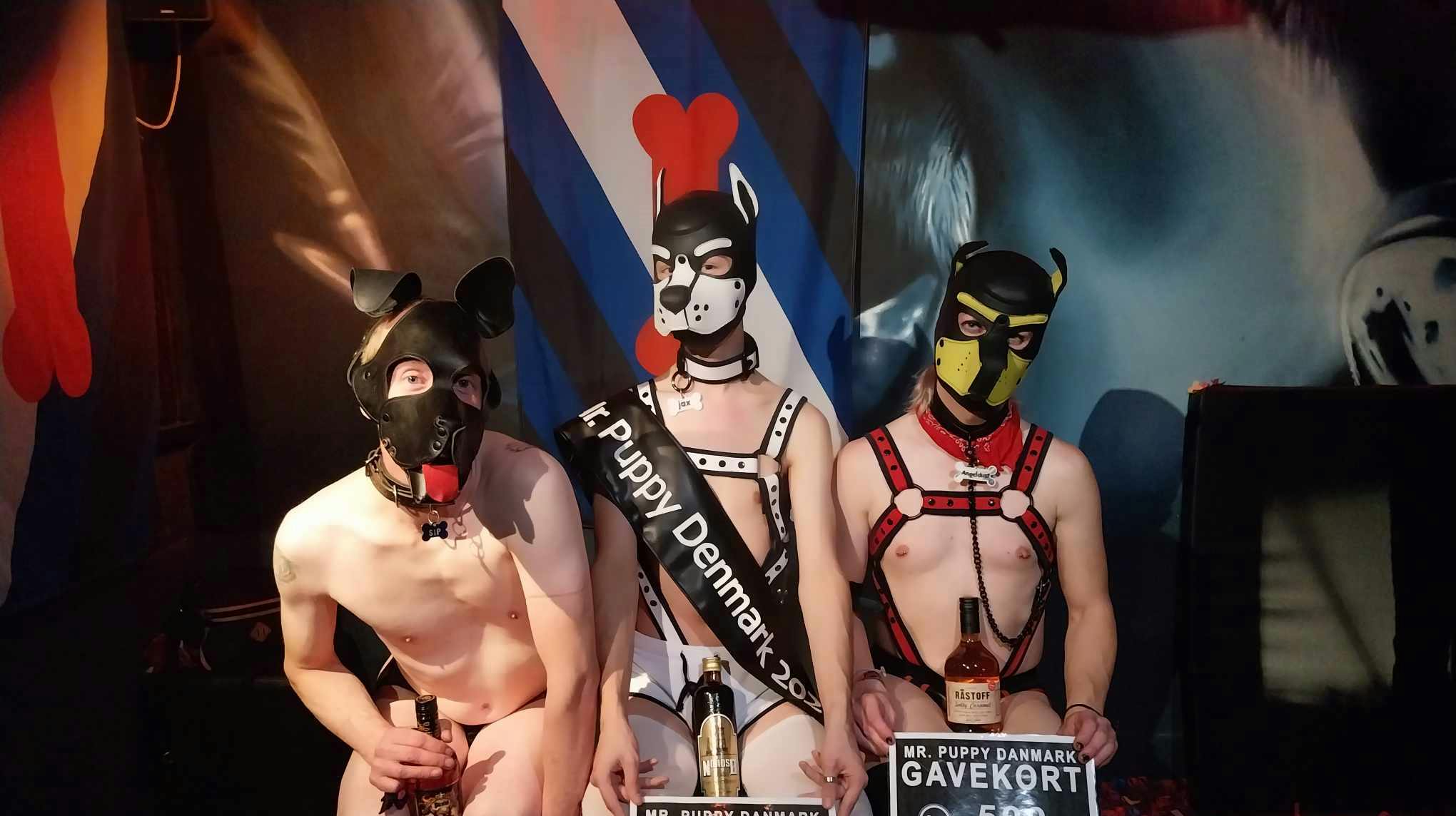 Jax vandt blandt andet, fordi han var den mest bedårende puppy. 
