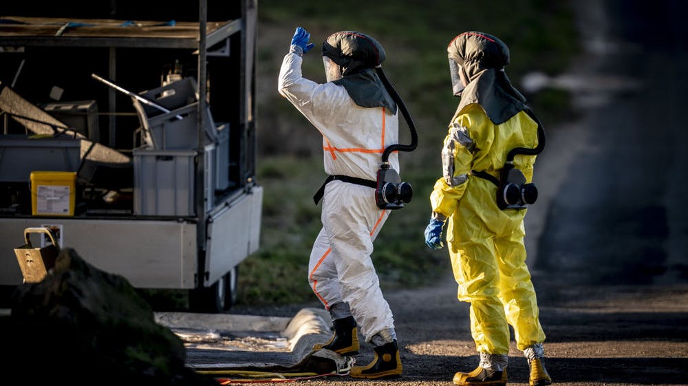 Ifølge Fødevarestyrelsen er næsten 100.000 fjerkræ fordelt på flere besætninger blevet aflivet i år på grund af fugleinfluenza.