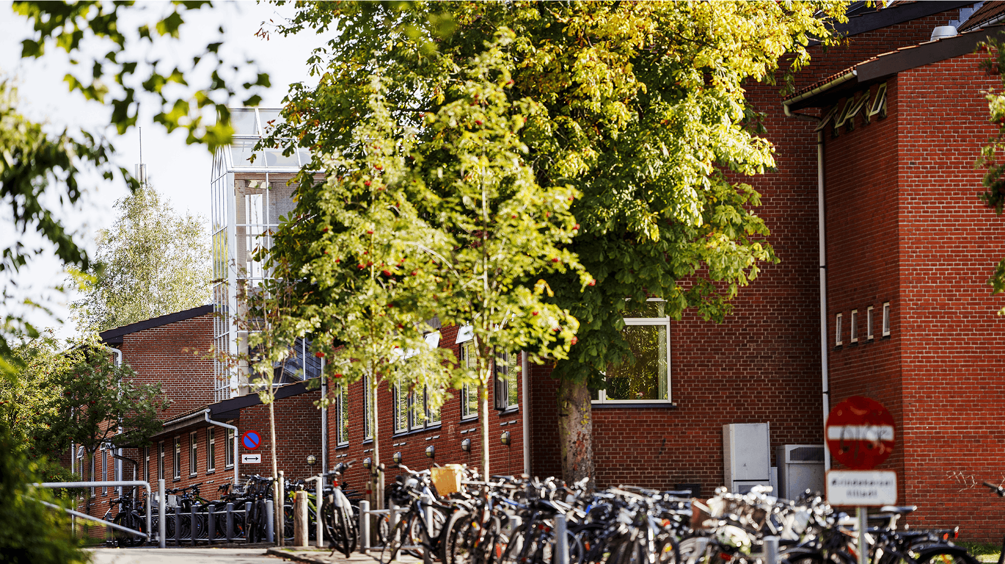 En grum sag har chokeret Søholmskolen i Rudersdal Kommune.
