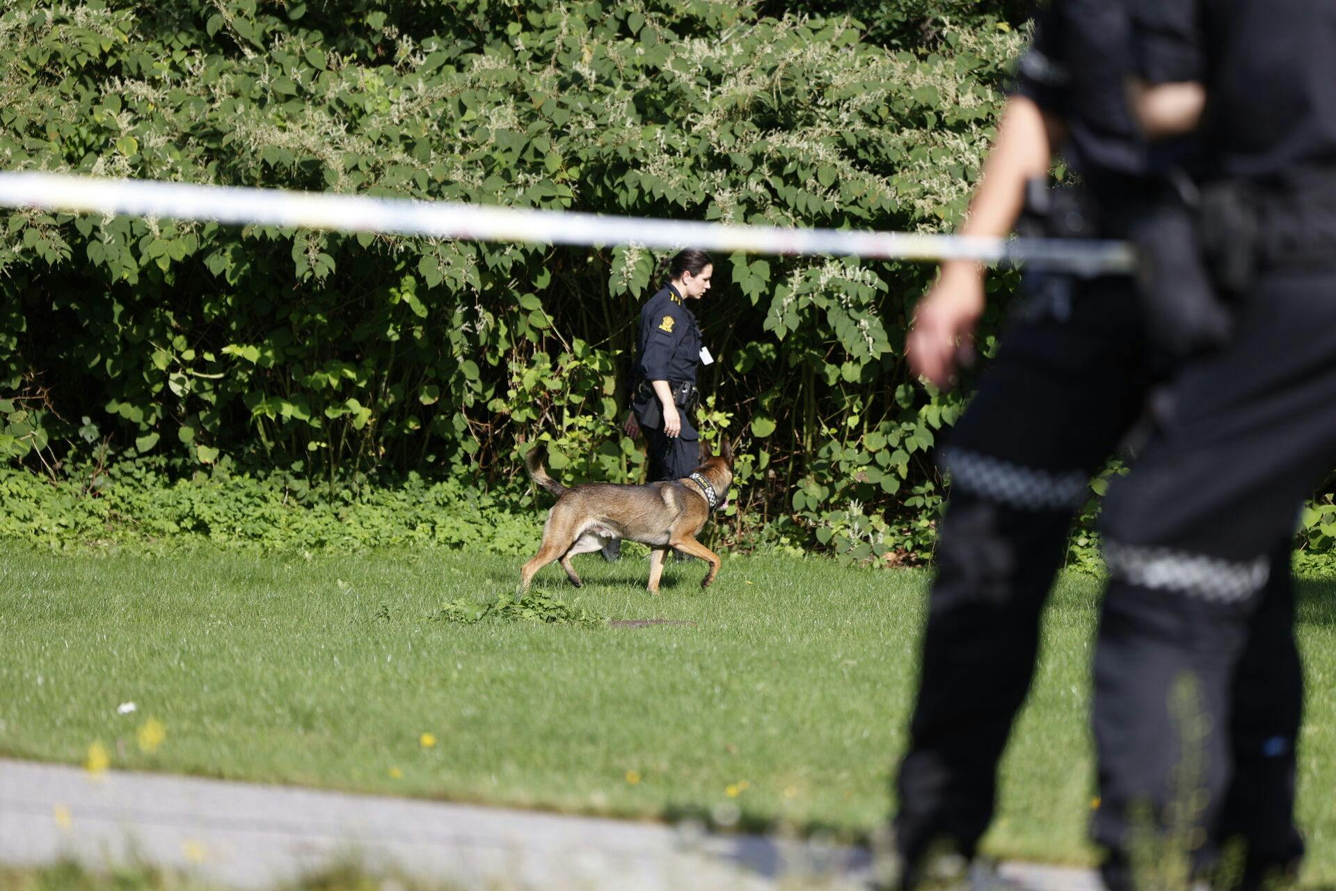 Politi til stede i Kristiansand