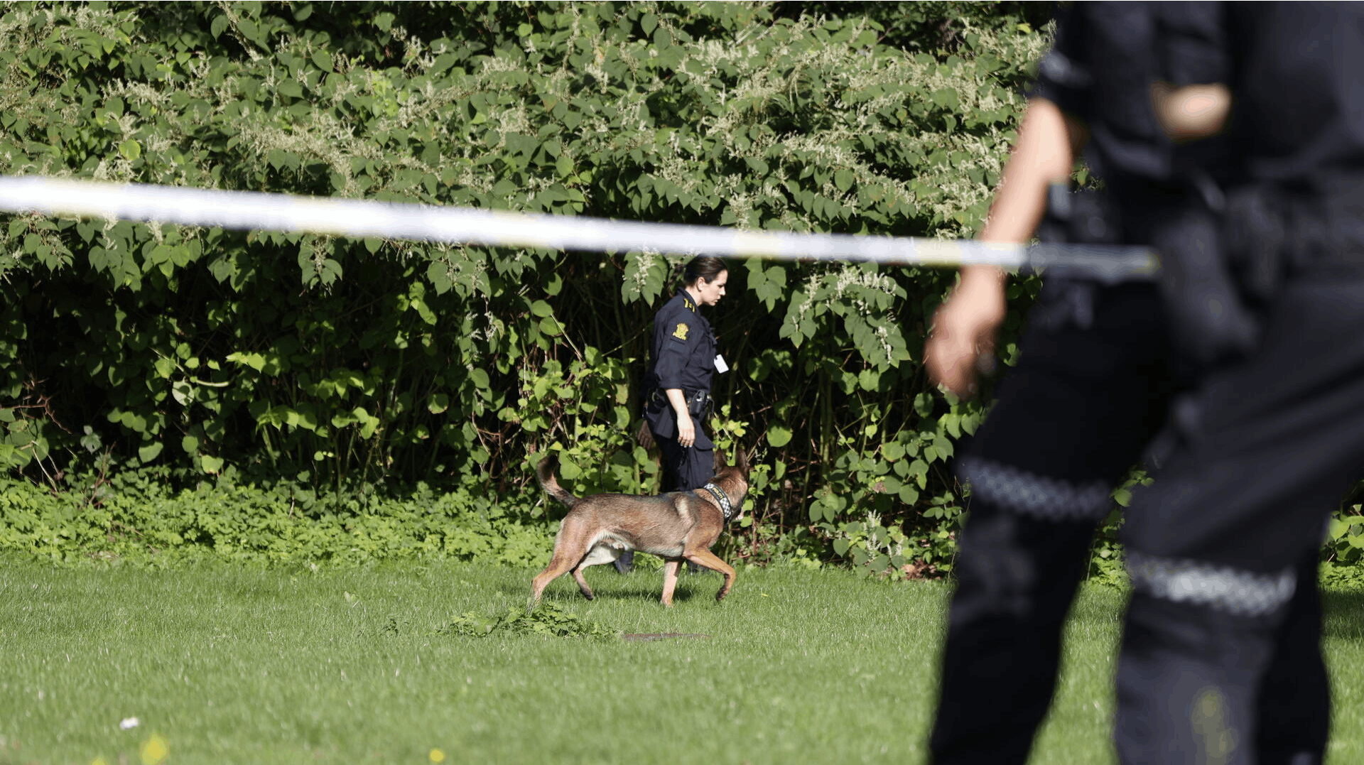 Politi til stede i Kristiansand