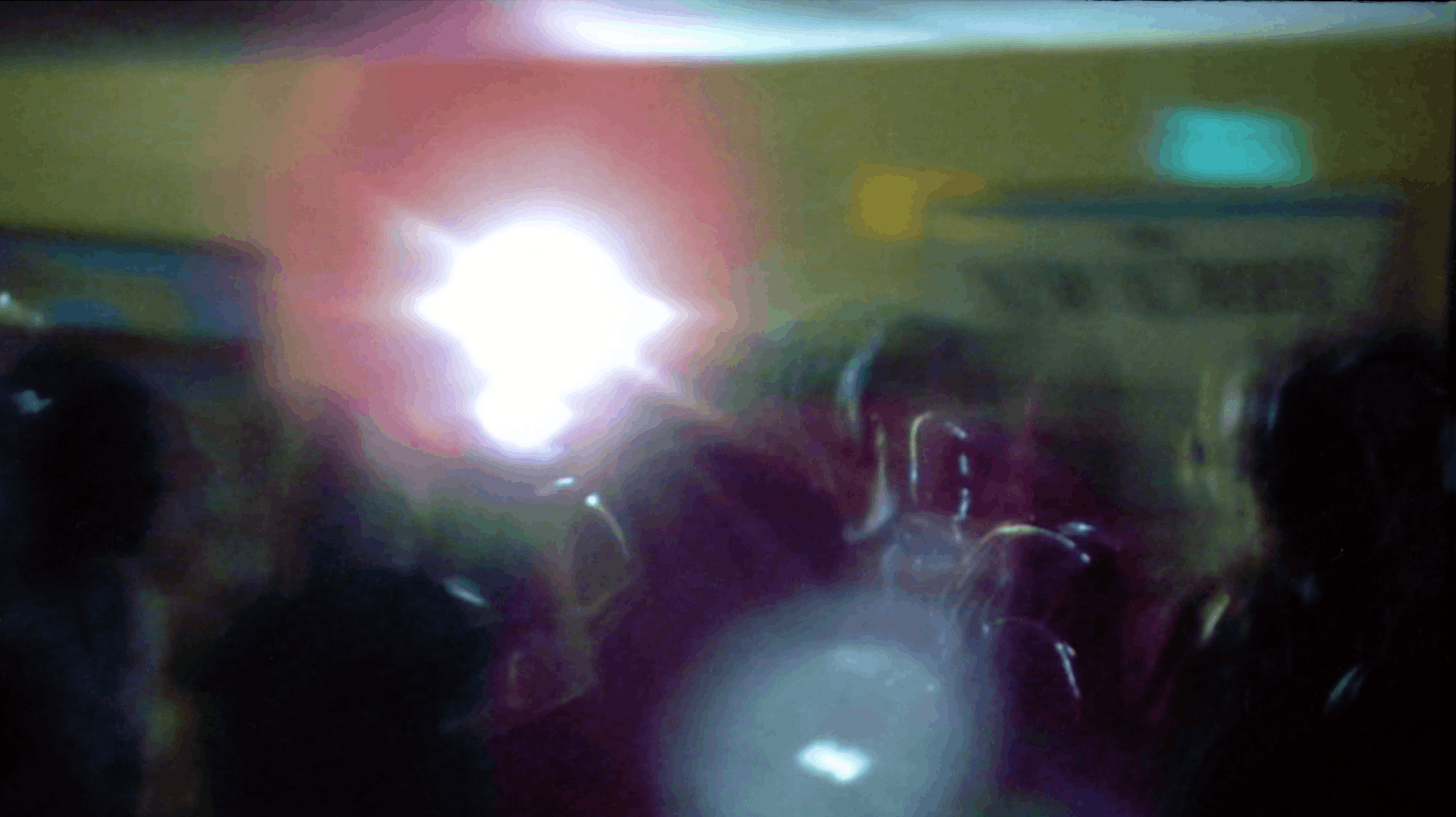 Politiet måtte natten til lørdag haste til en populær bar i Varde, fordi en 37-årig mand ville smide tøjet og hev planter op.