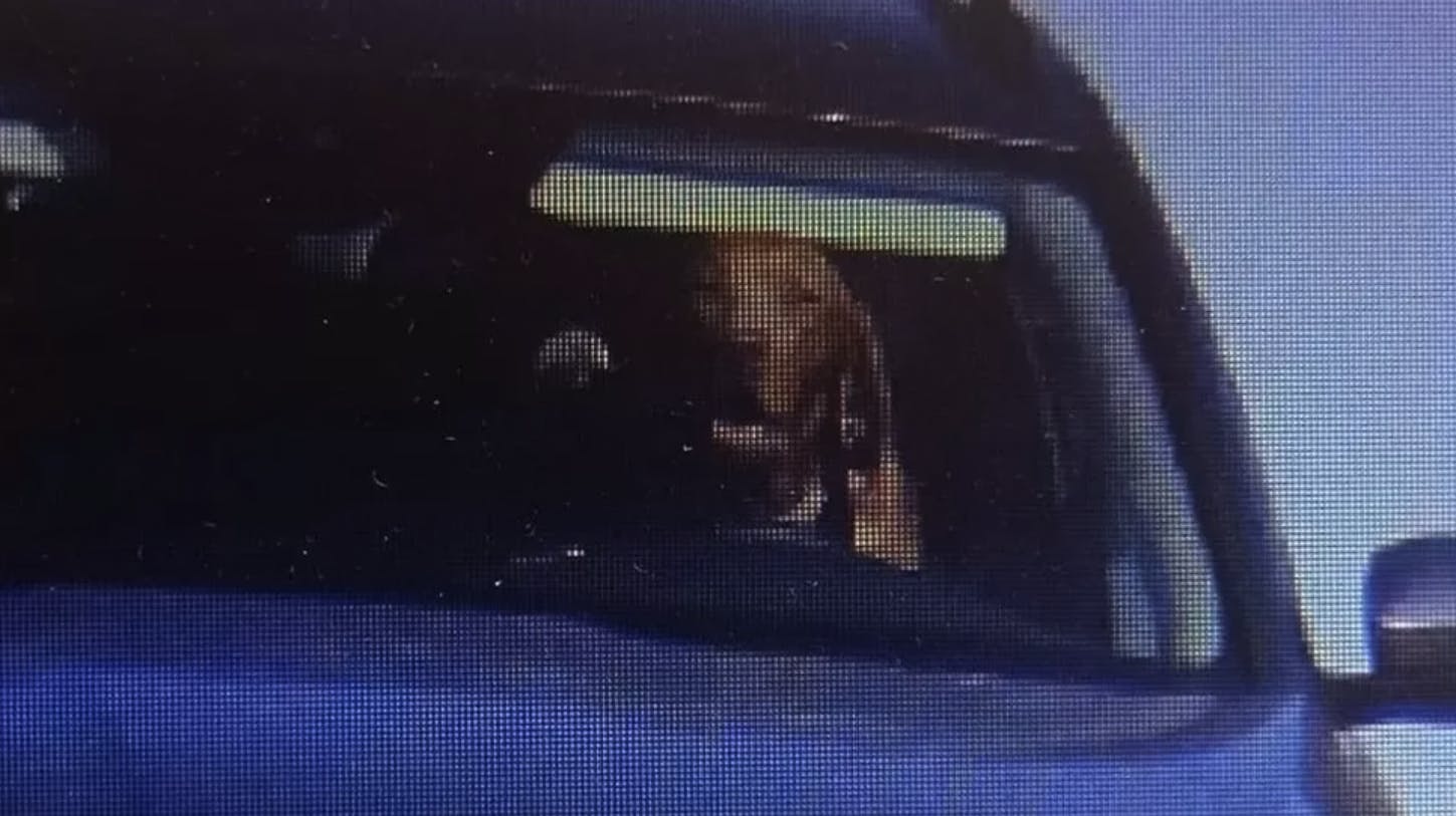 Politiet fik øjne så store som tekopper, da de opdagede, at en hund sad bag rattet.