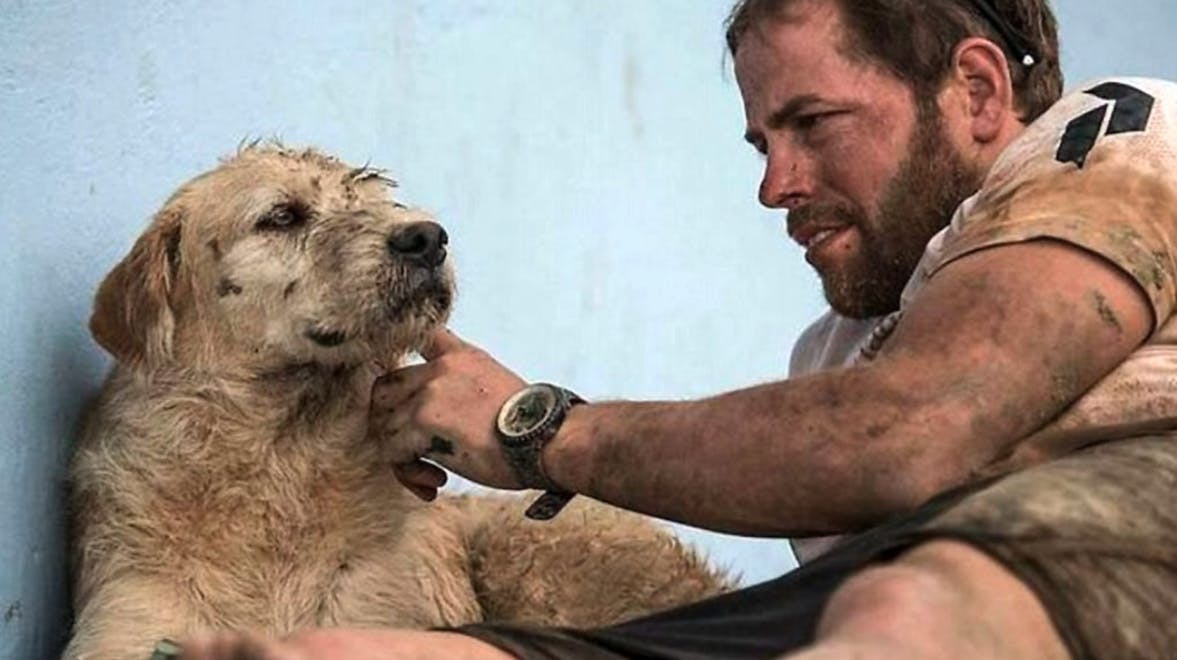  Hunden Arthur fulgte efter svensk ekstremsportshold i tykt og tyndt - og det blev begyndelsen på et venskab, der varede til det allersidste. 