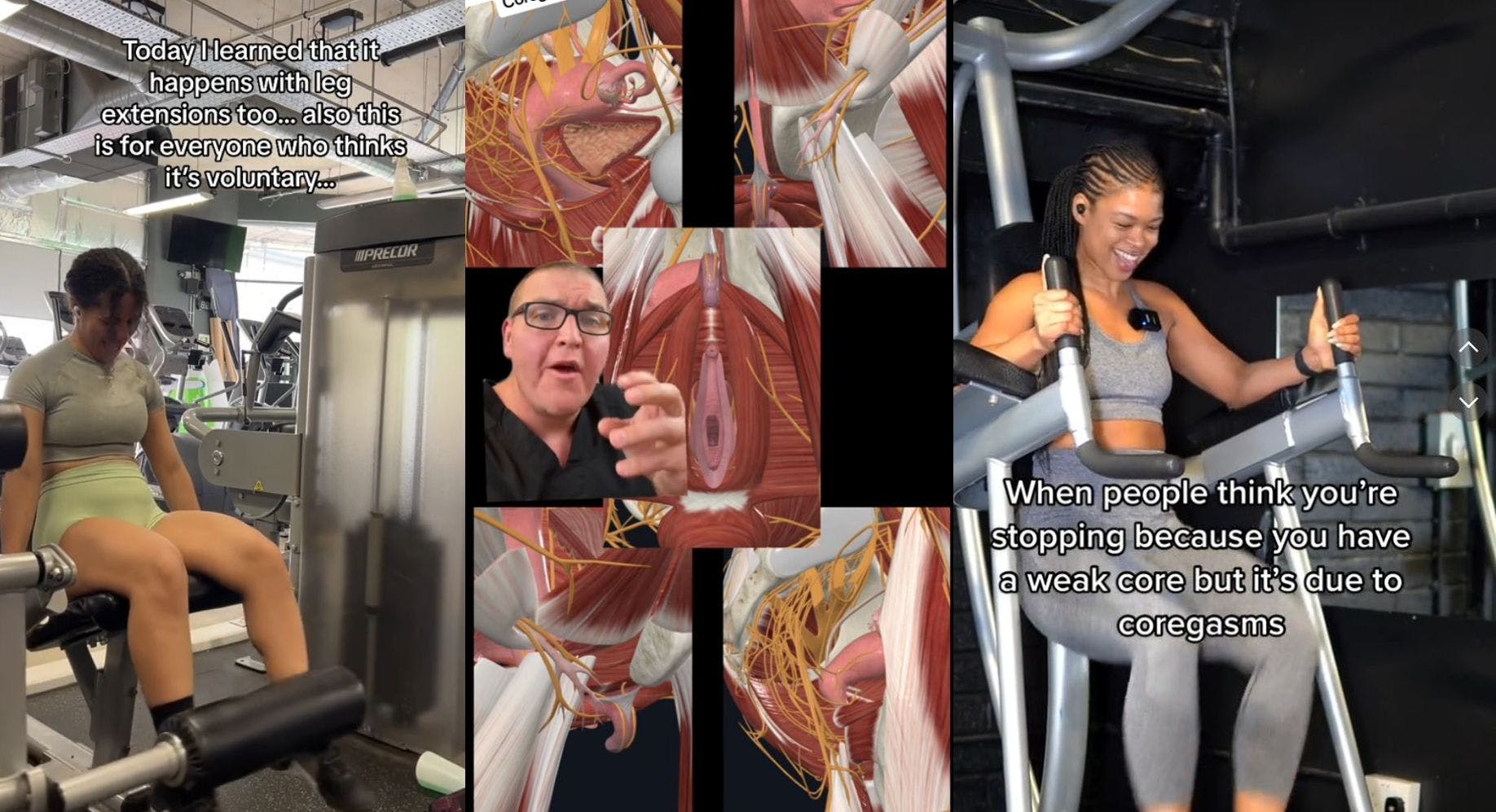 https://imgix.seoghoer.dk/2023-10-03/coregasm.jpg