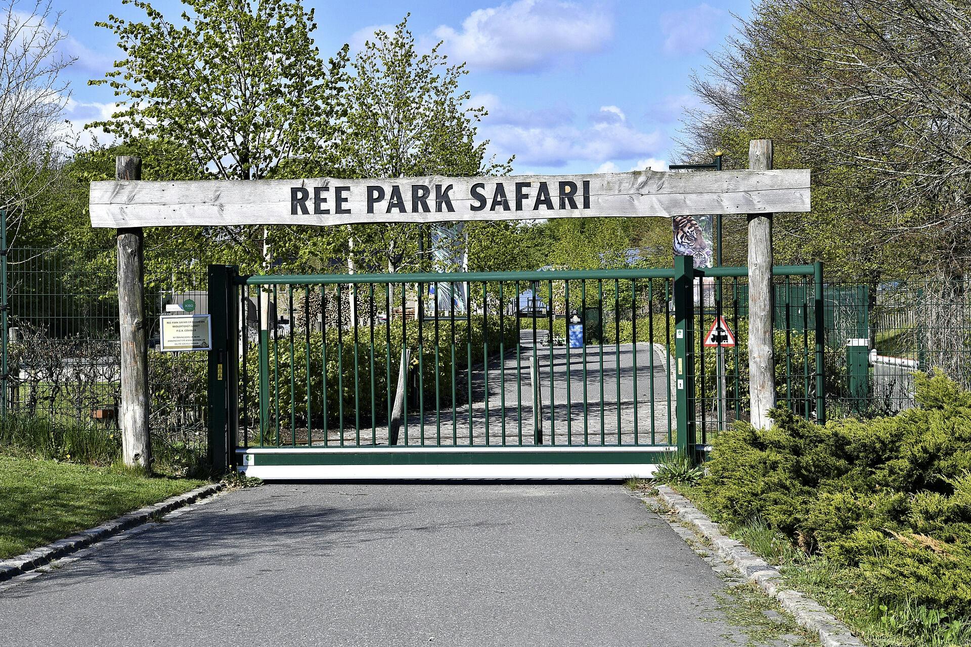 En ulv har taget livet af 34 fugle i Ree Park Safari.