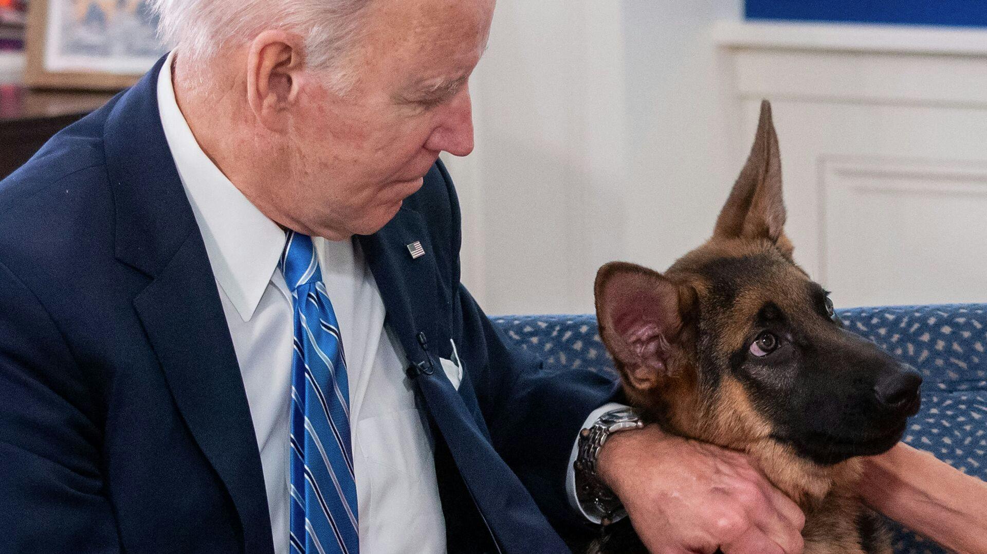 Hunden Commander er blevet forvist fra Det Hvide Hus.