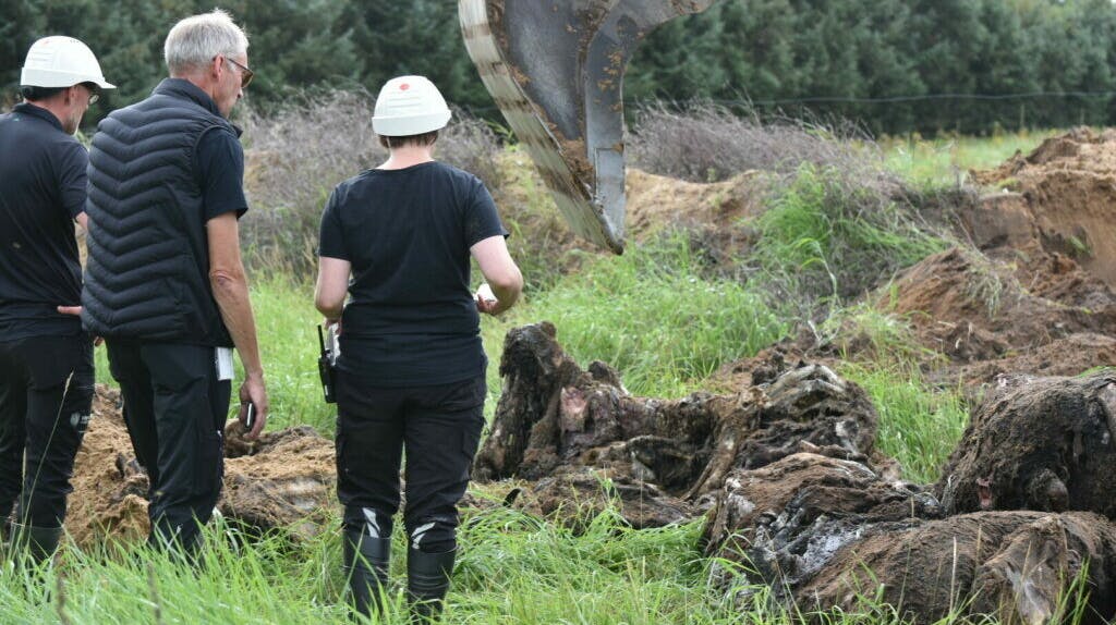 Arkivfoto: Viegård Stutteri har været omstridt, siden man i august fandt nedgravede rester fra omkring 50 heste. 