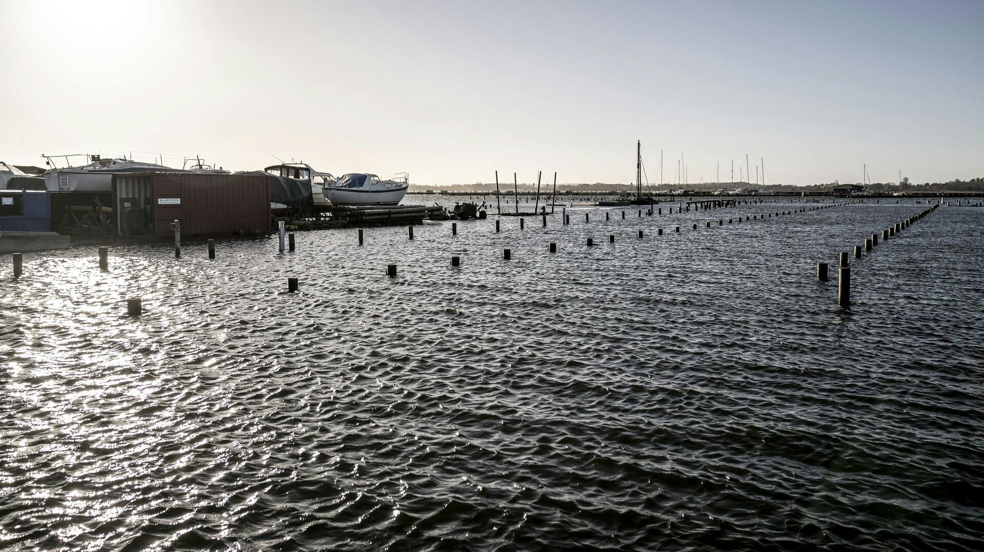 Roskilde Fjord ved Frederikssund går over sine bredder
