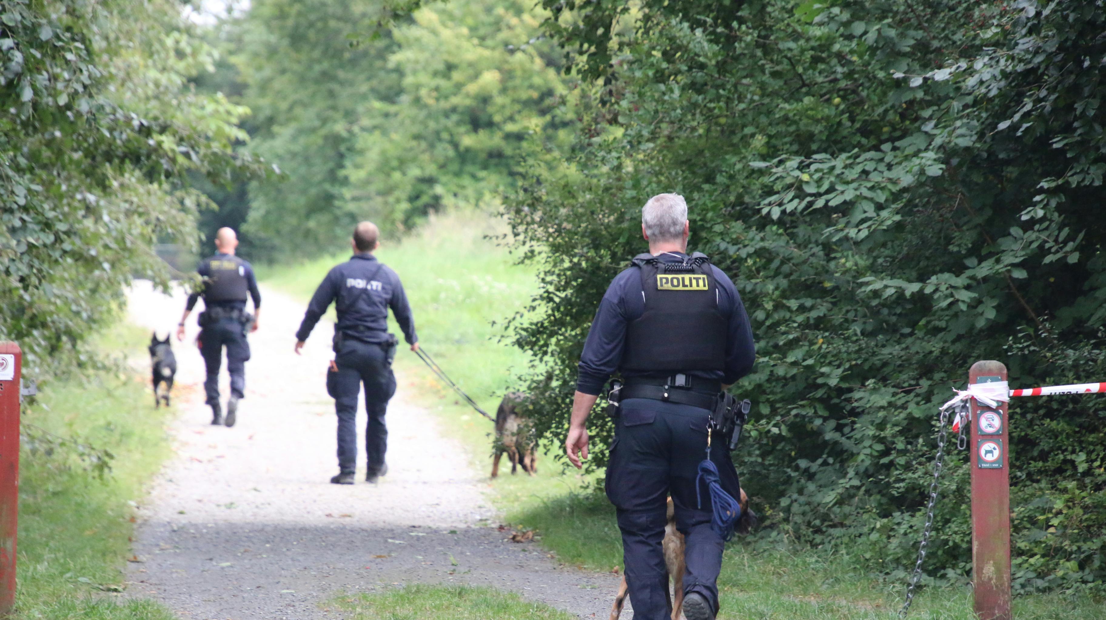 Politiet rykkede massivt ud til stedet.