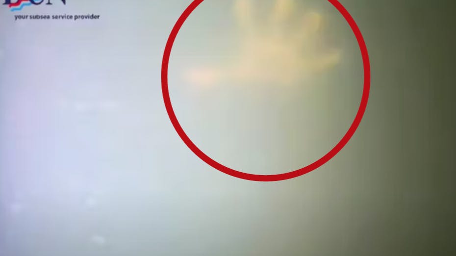 Da dykkeren rakte sin hånd frem for at gribe fat i liget, greb den ”døde” mand pludseligt fat i ham: Mod alle odds var manden i live!