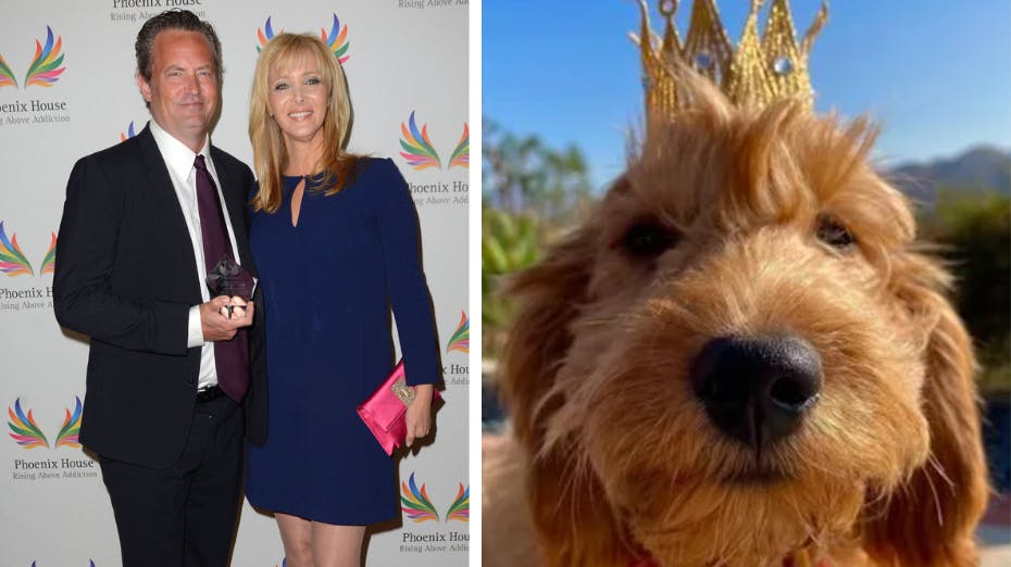 Lisa Kudrow ønsker at adoptere Matthew Perrys elskede hund Alfred. 
