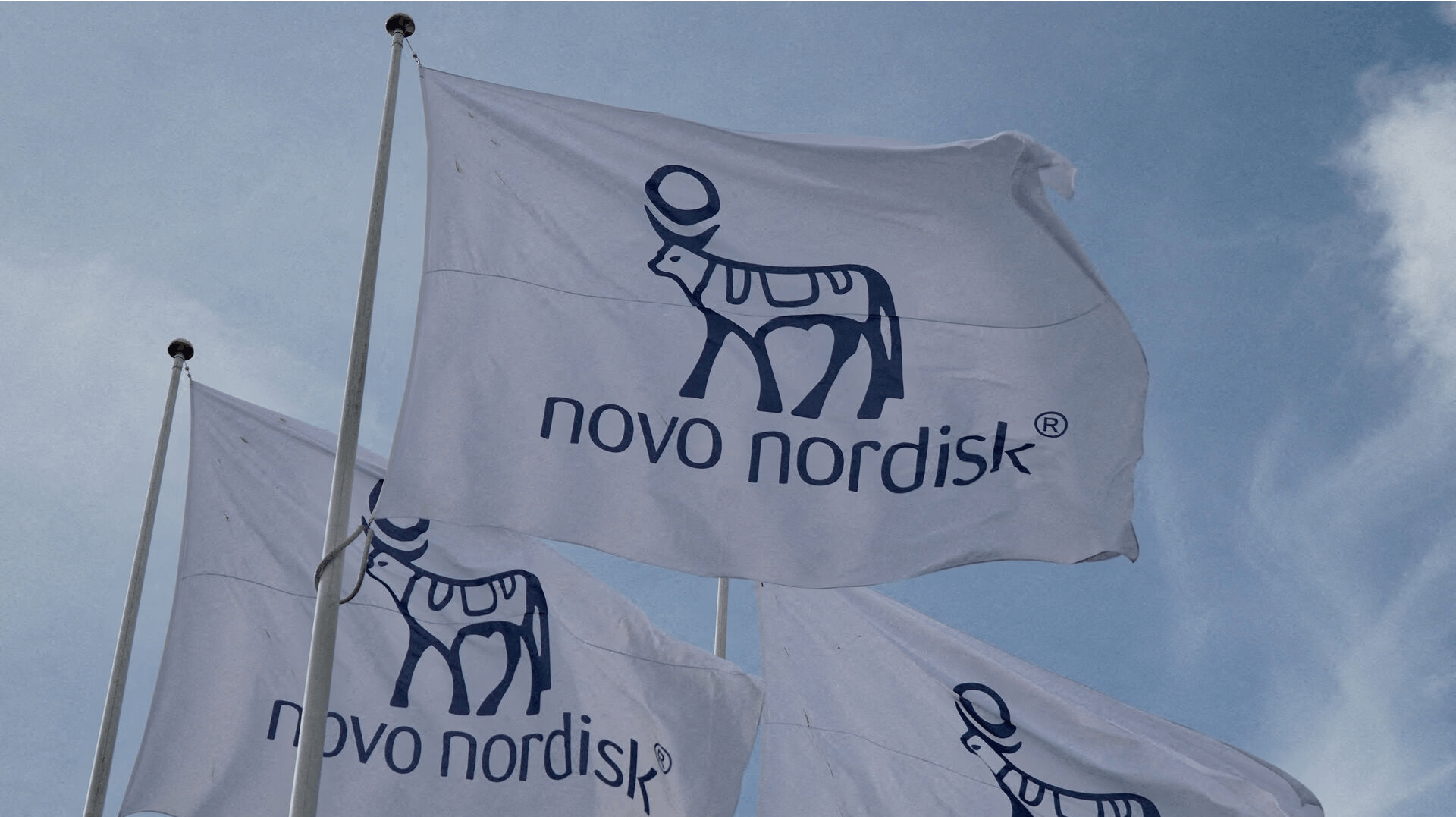 FILE PHOTO: Flags with the Novo Nordisk logo flutter outside their Danish company's offices in Copenhagen, Denmark, September 26, 2023. REUTERS/Tom Little/File Photo